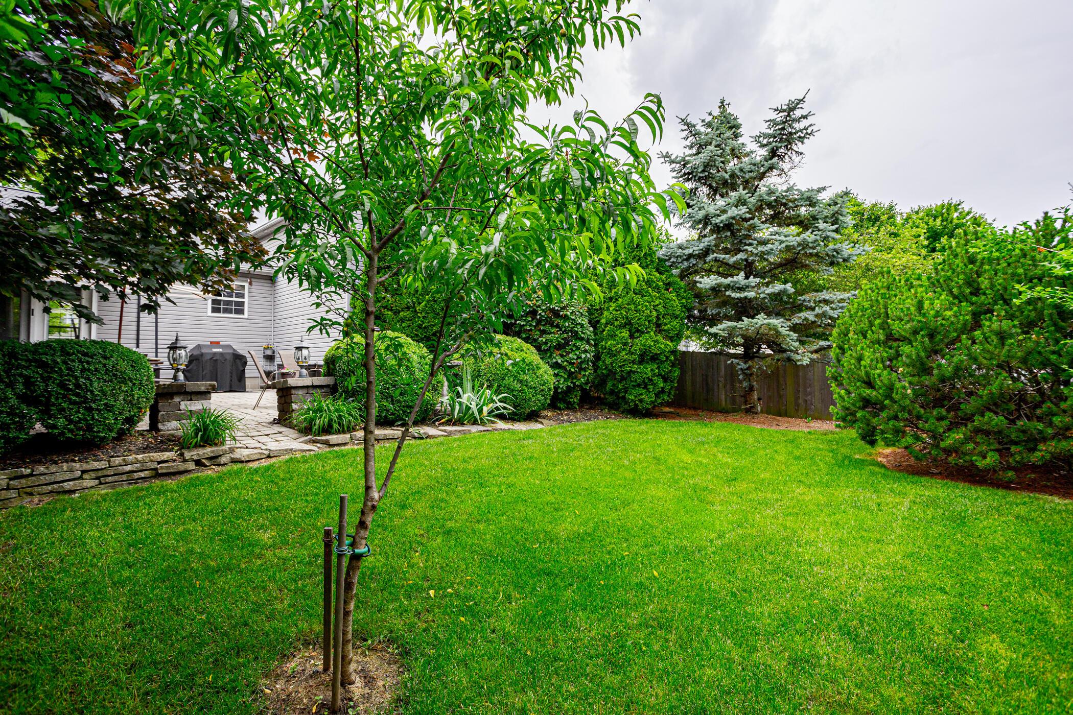 114 Welshmore Drive