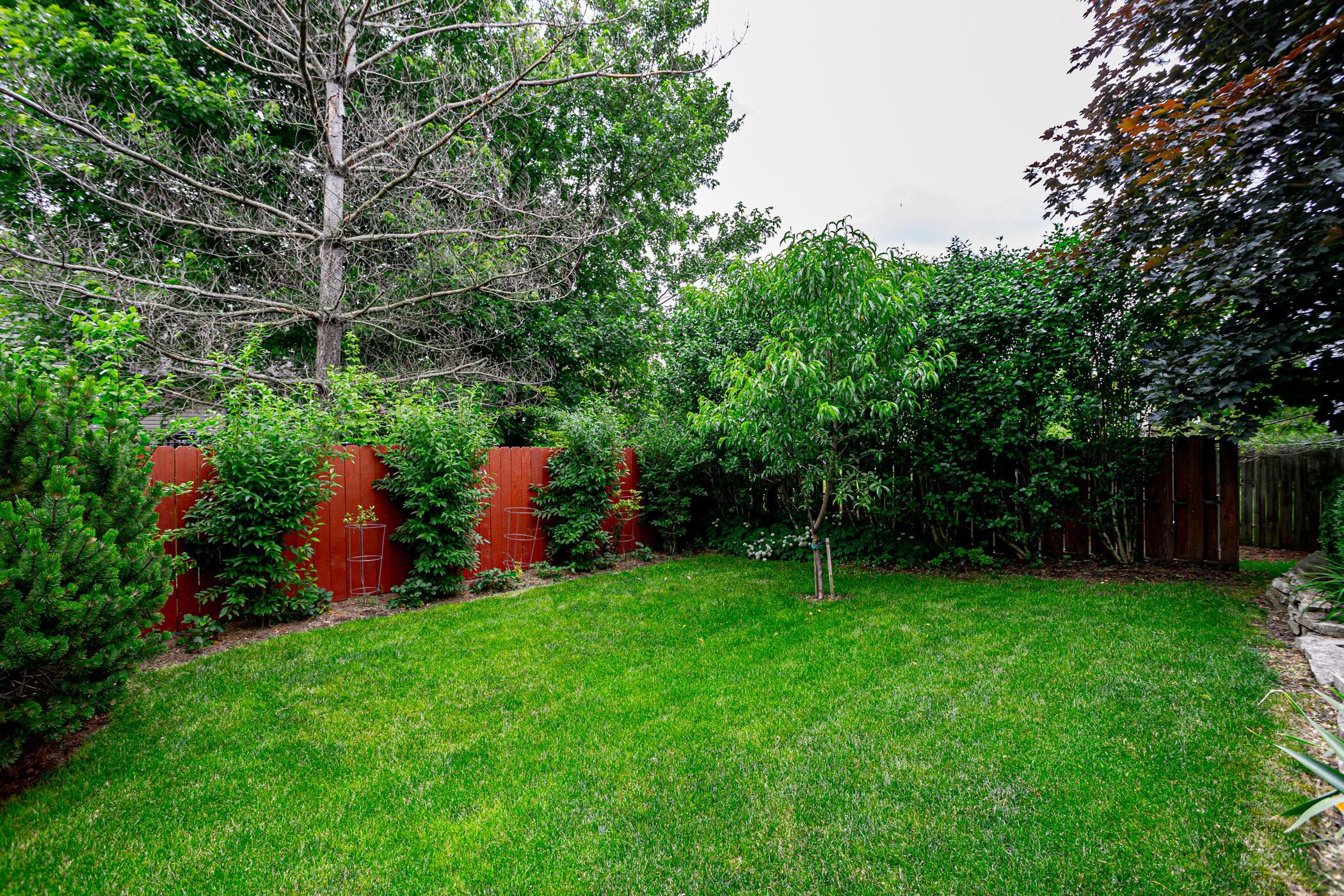 114 Welshmore Drive