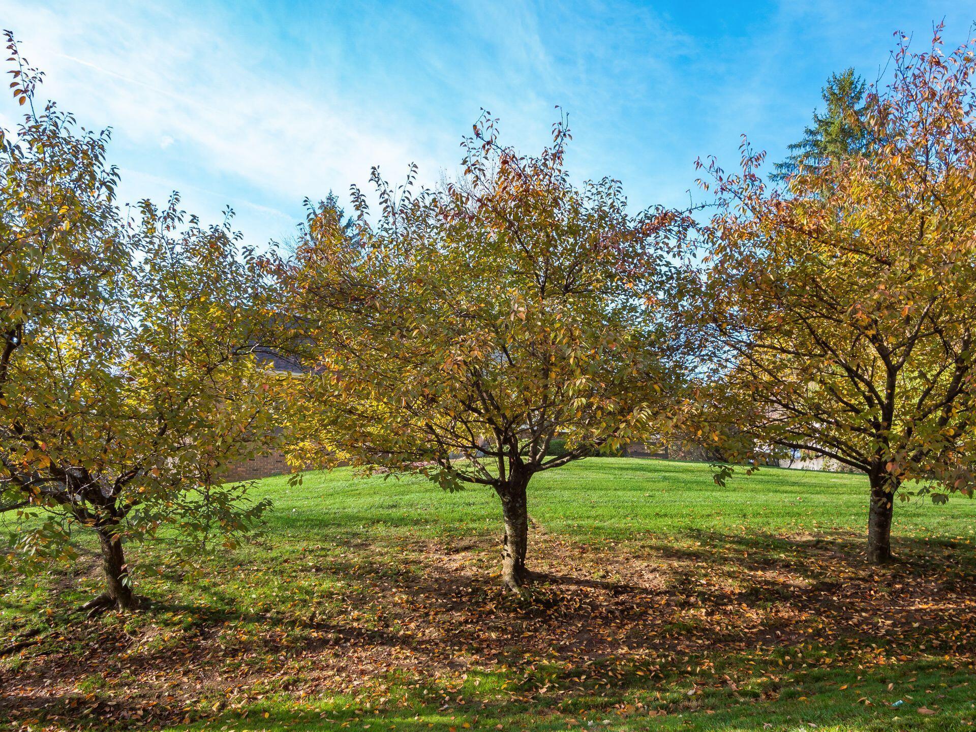 7571 Olentangy River Road