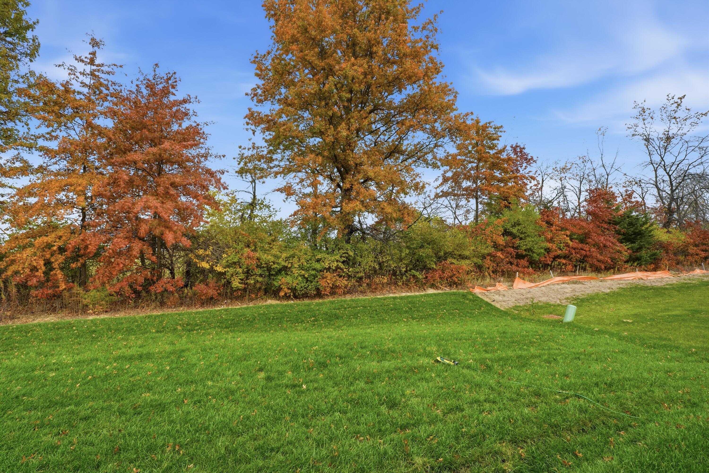 198 Silver Pine Lane