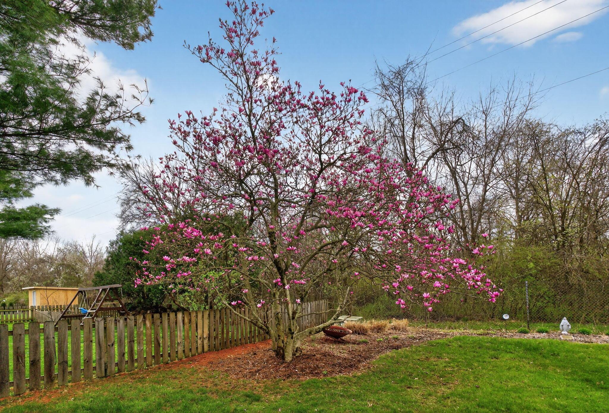 8433 Bridletree Way