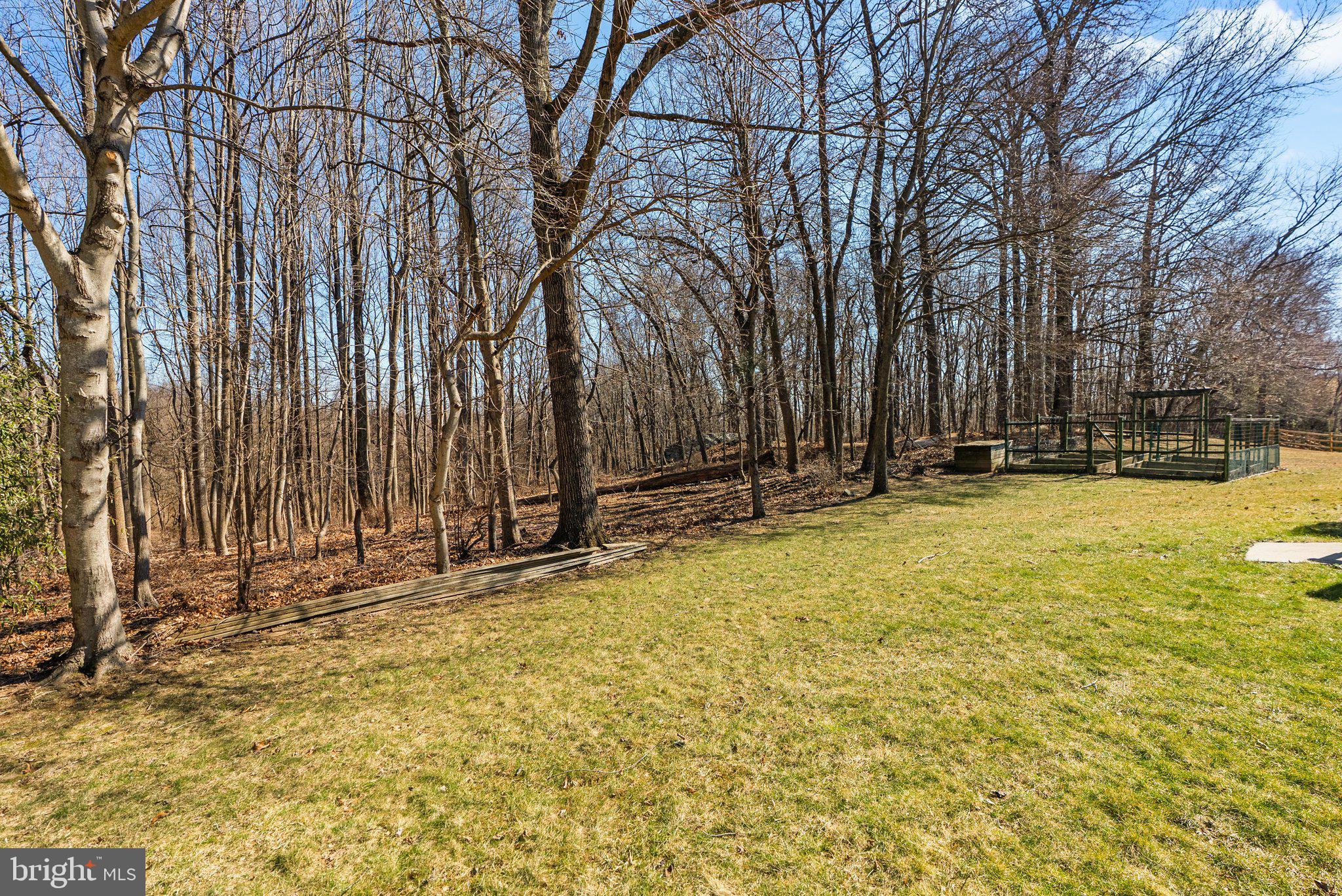 11006 Cross Laurel Dr