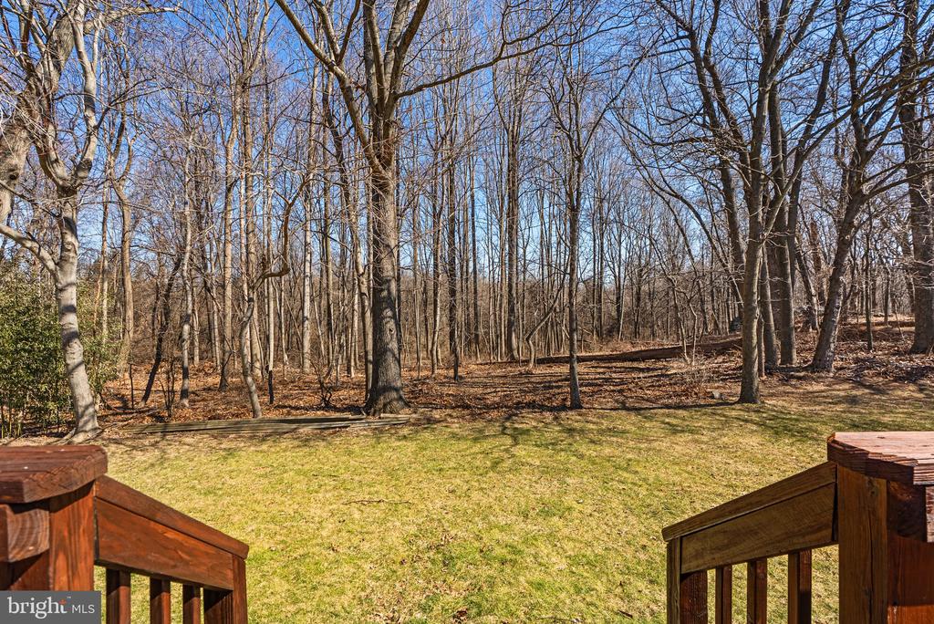 11006 Cross Laurel Dr