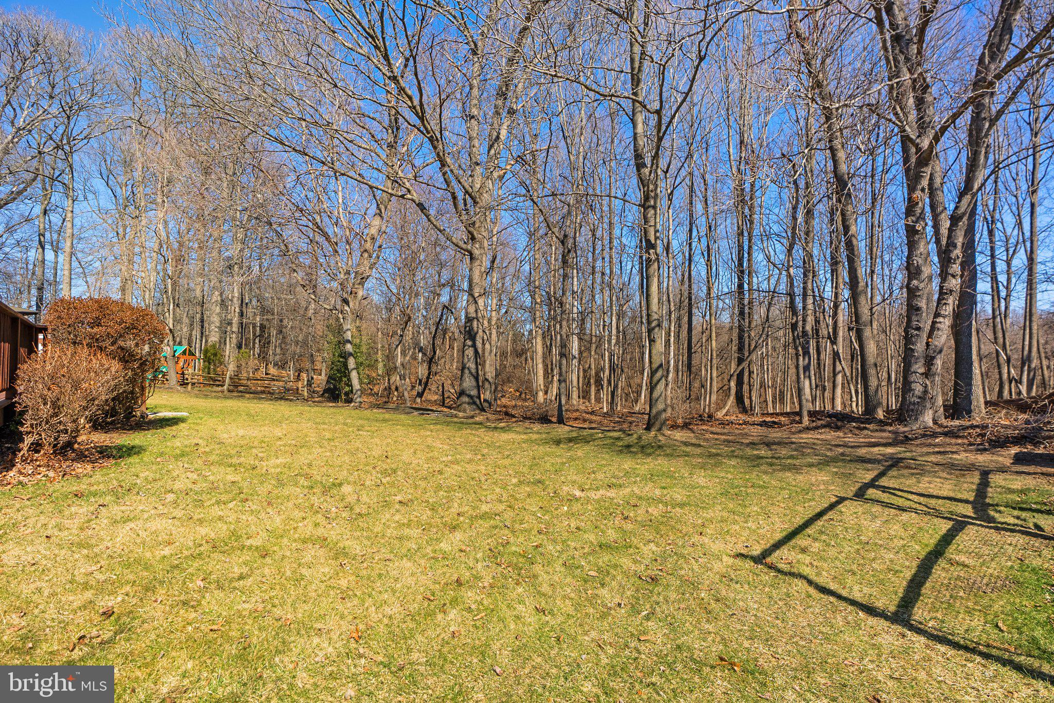 11006 Cross Laurel Dr