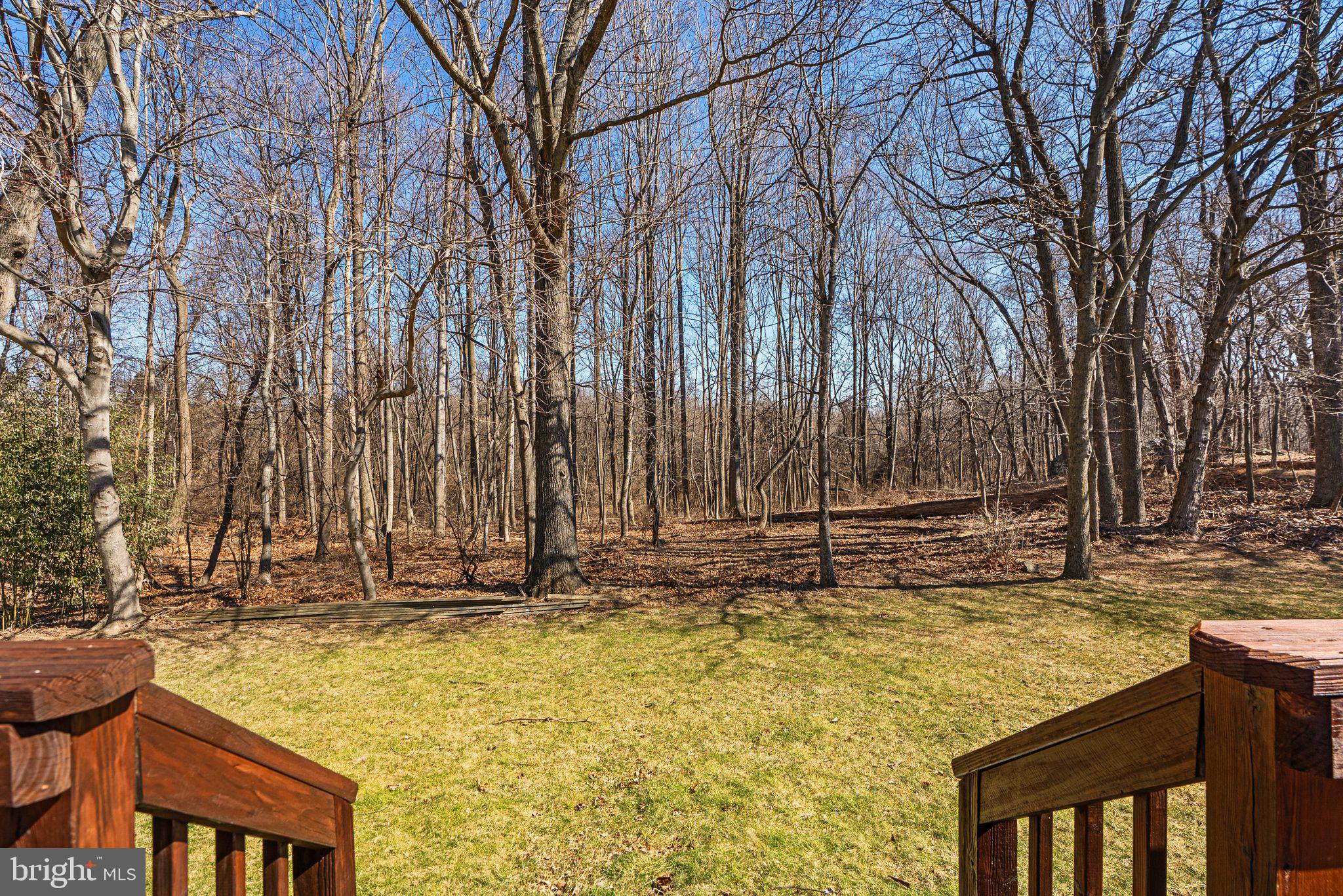 11006 Cross Laurel Dr