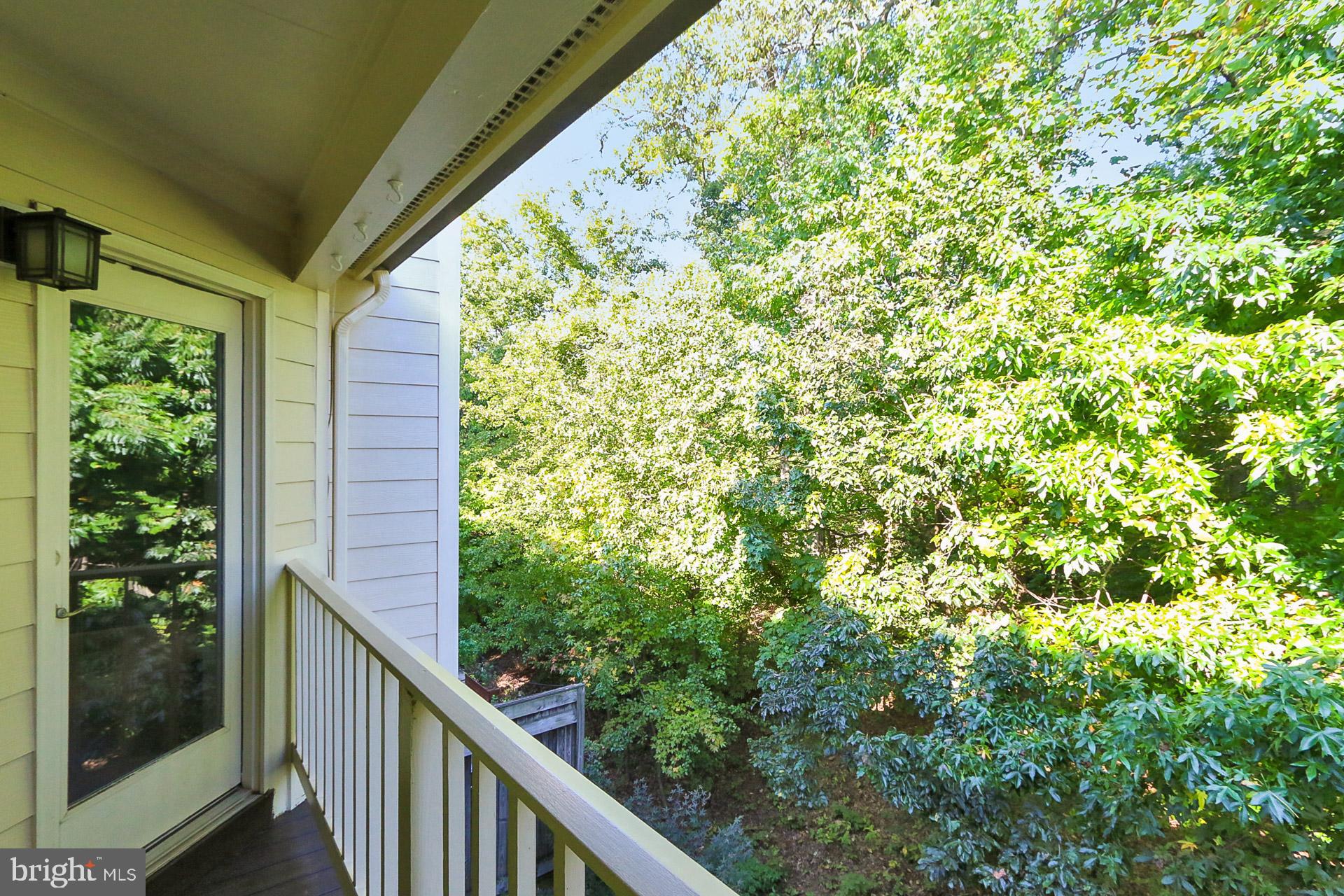 12606 Victoria Station Ct