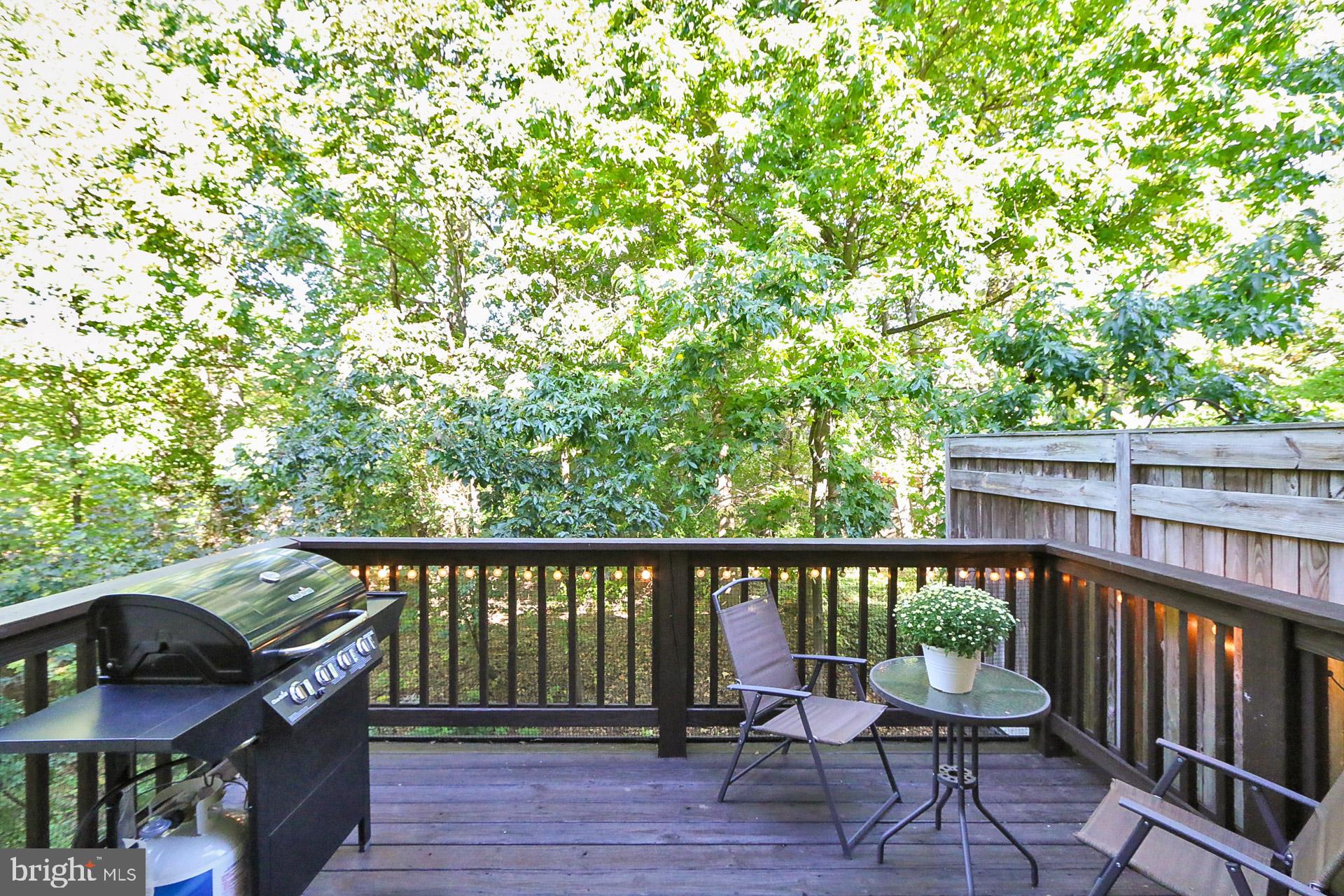 12606 Victoria Station Ct