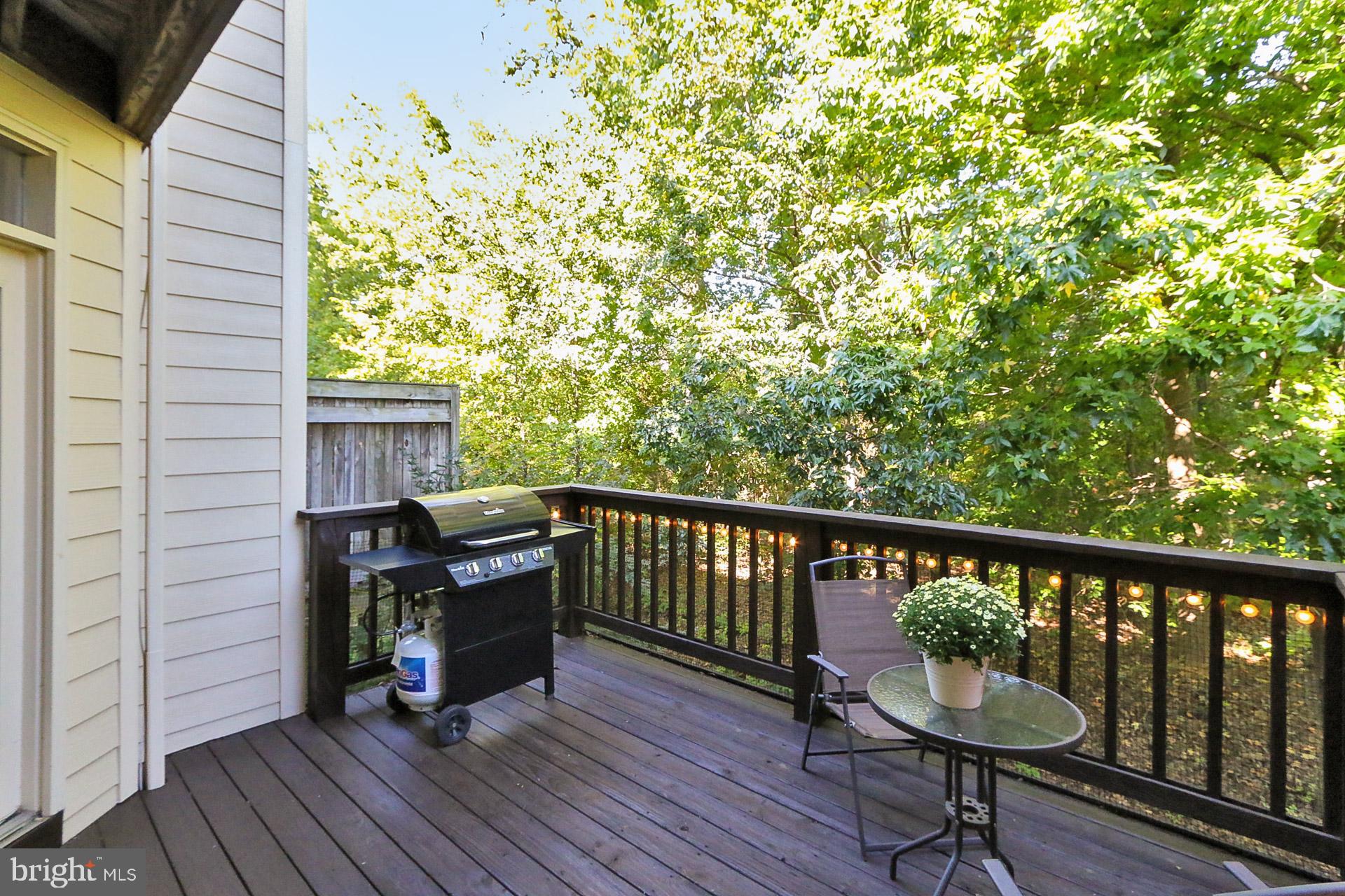 12606 Victoria Station Ct