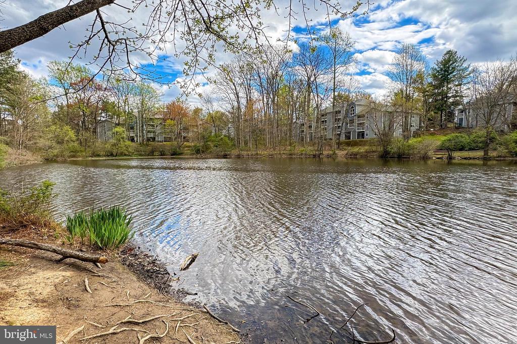 12506 N Lake Ct