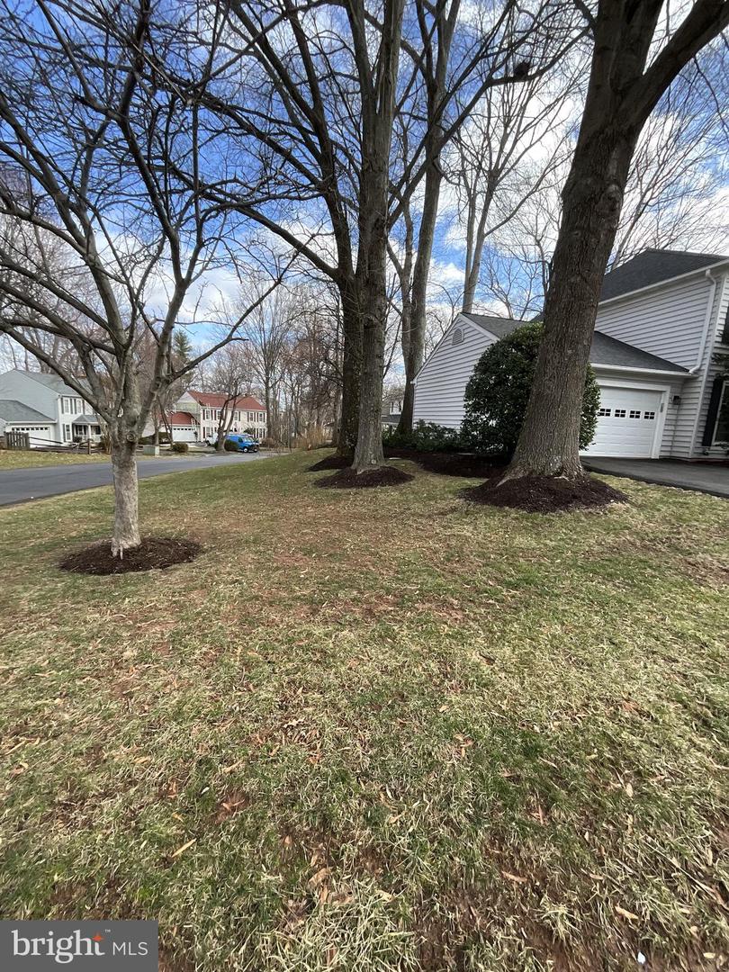10332 Steamboat Landing Ln