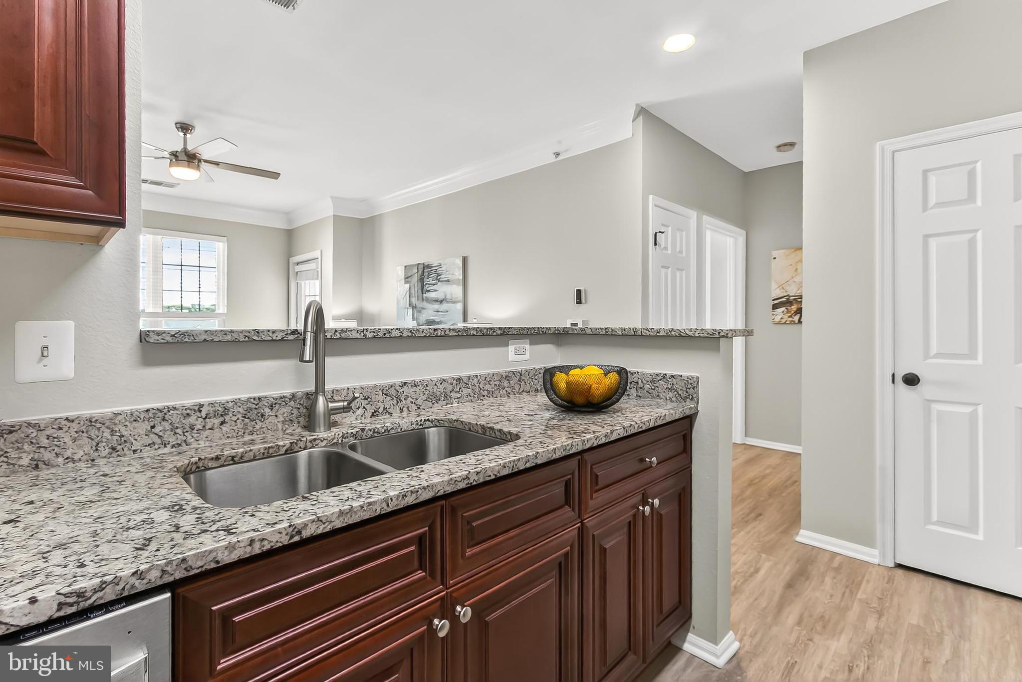 1521 SPRING GATE DRIVE 10413