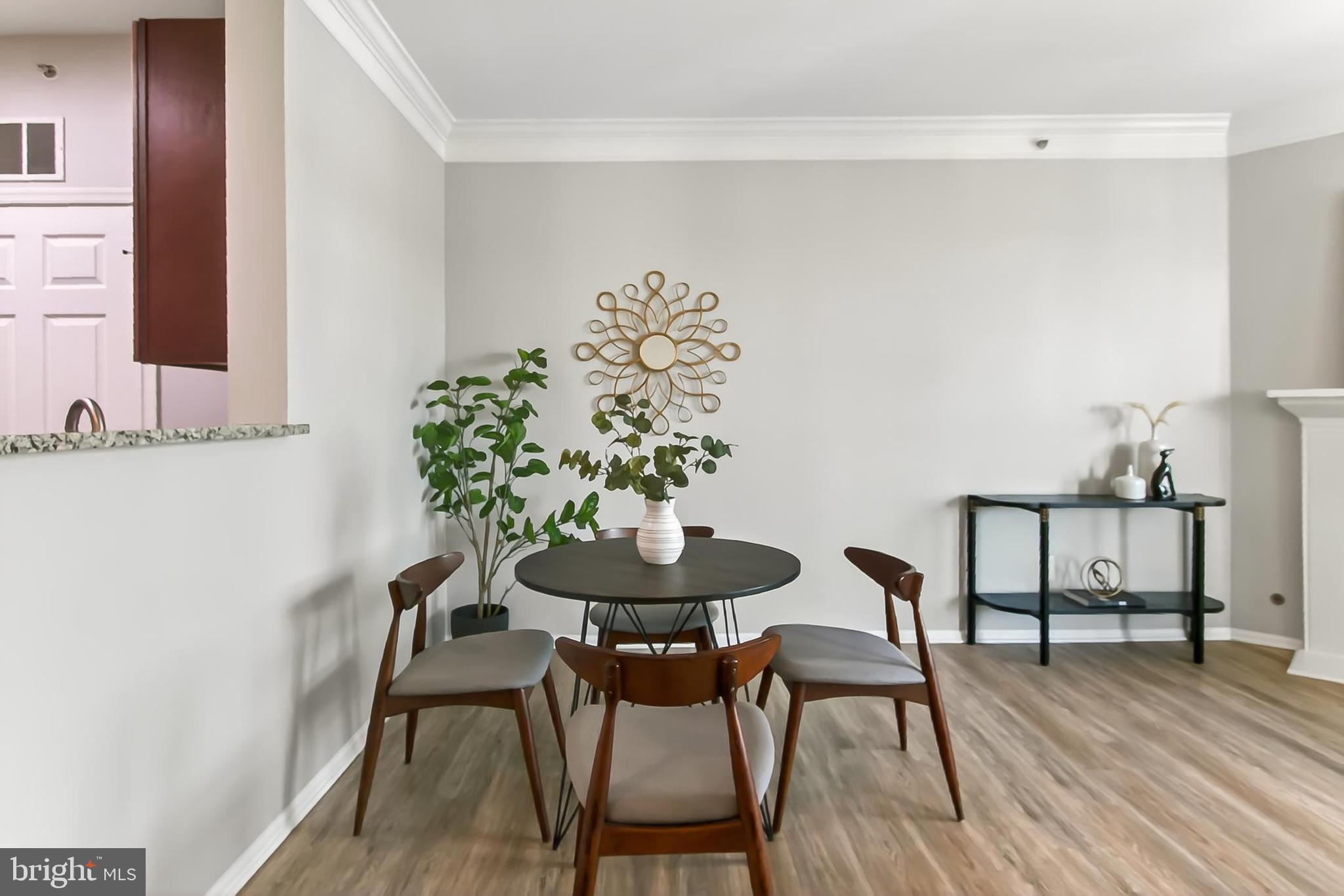 1521 SPRING GATE DRIVE 10413