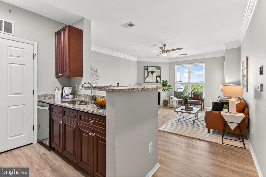 1521 SPRING GATE DRIVE 10413