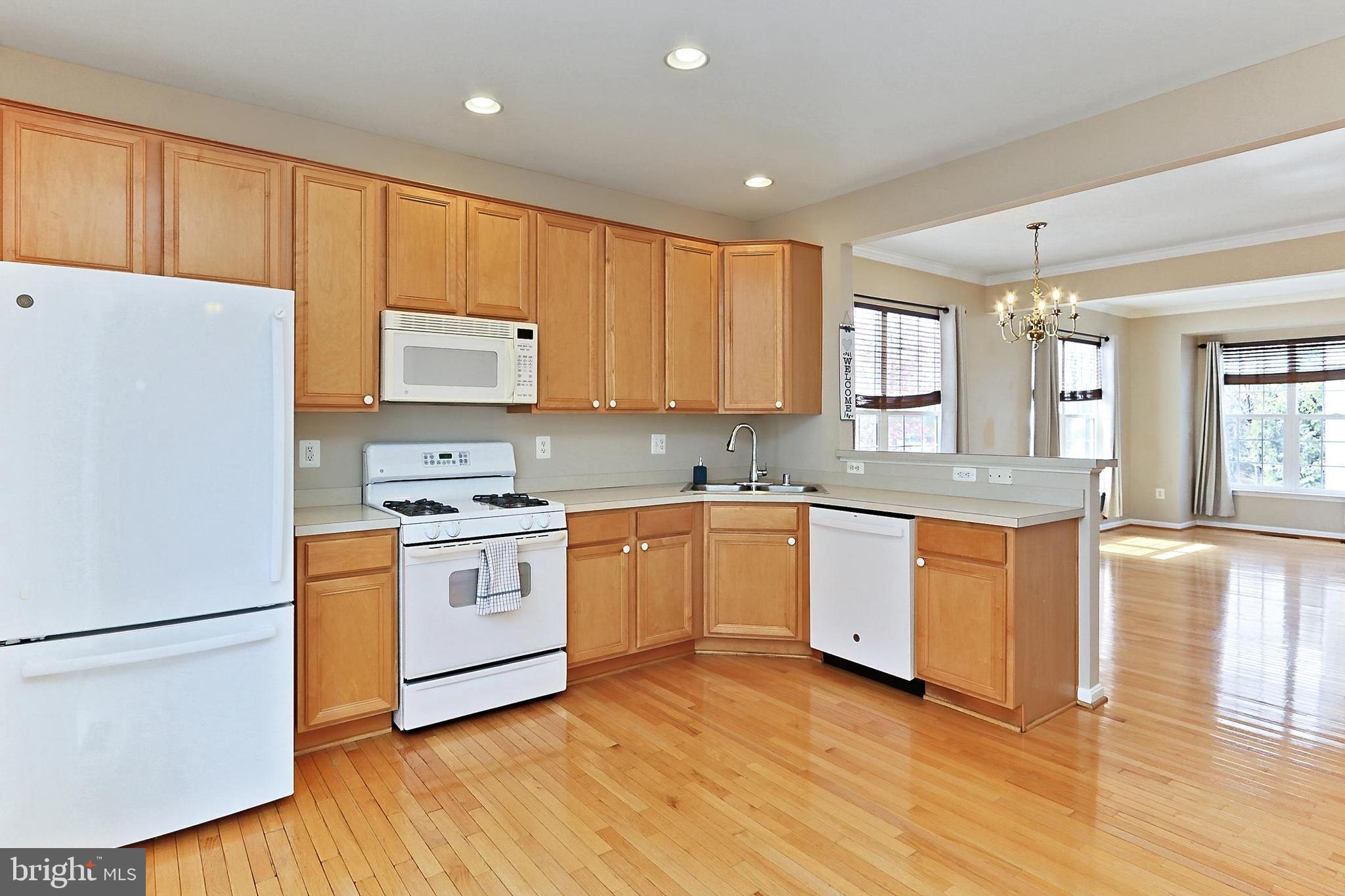 21848 COBBLE POND SQ