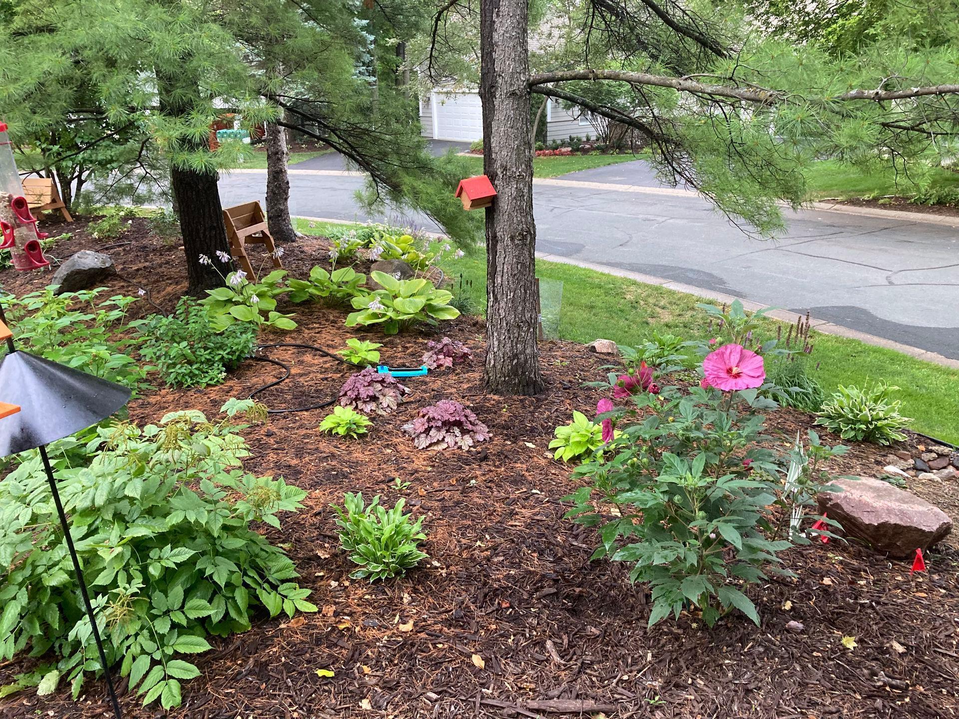 2994 Pelican Point Cir, Mound