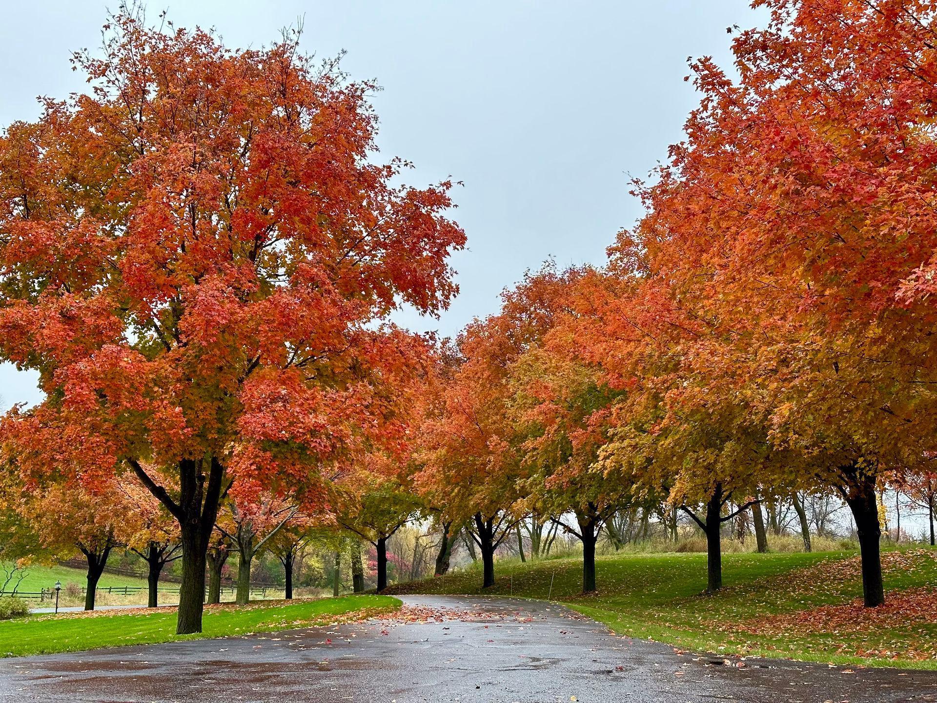 2335 Hollybush Rd, Medina