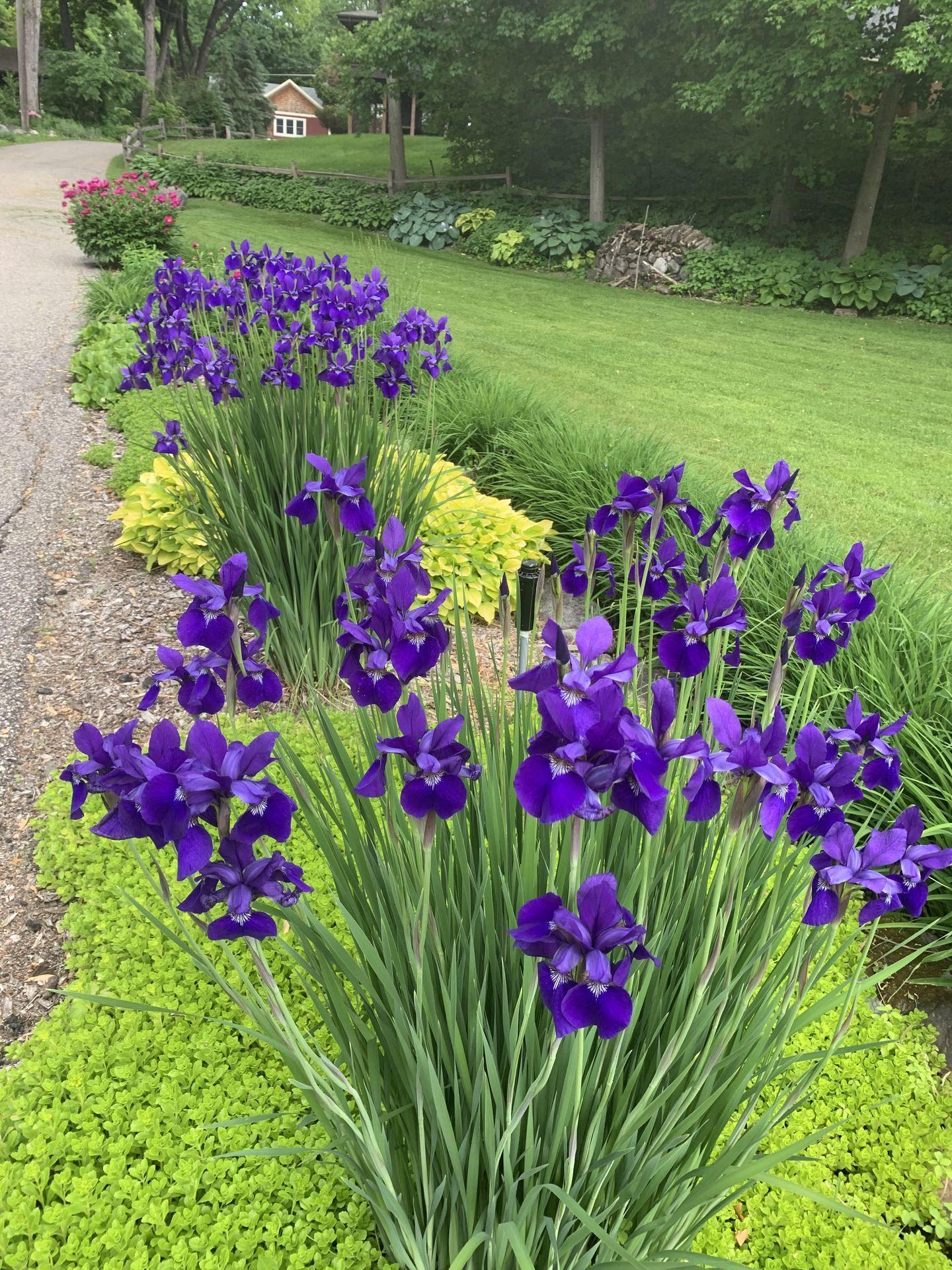 3061 Casco Point Rd, Orono