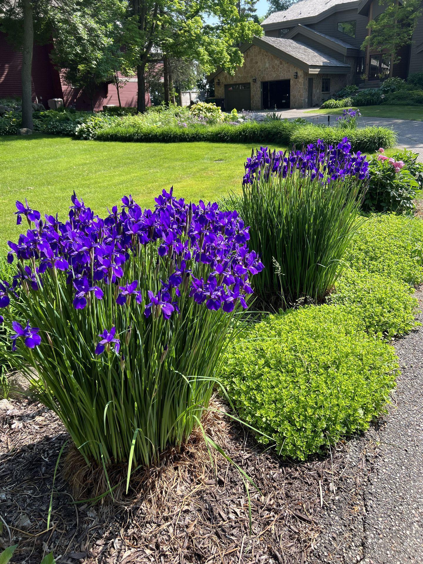 3061 Casco Point Rd, Orono