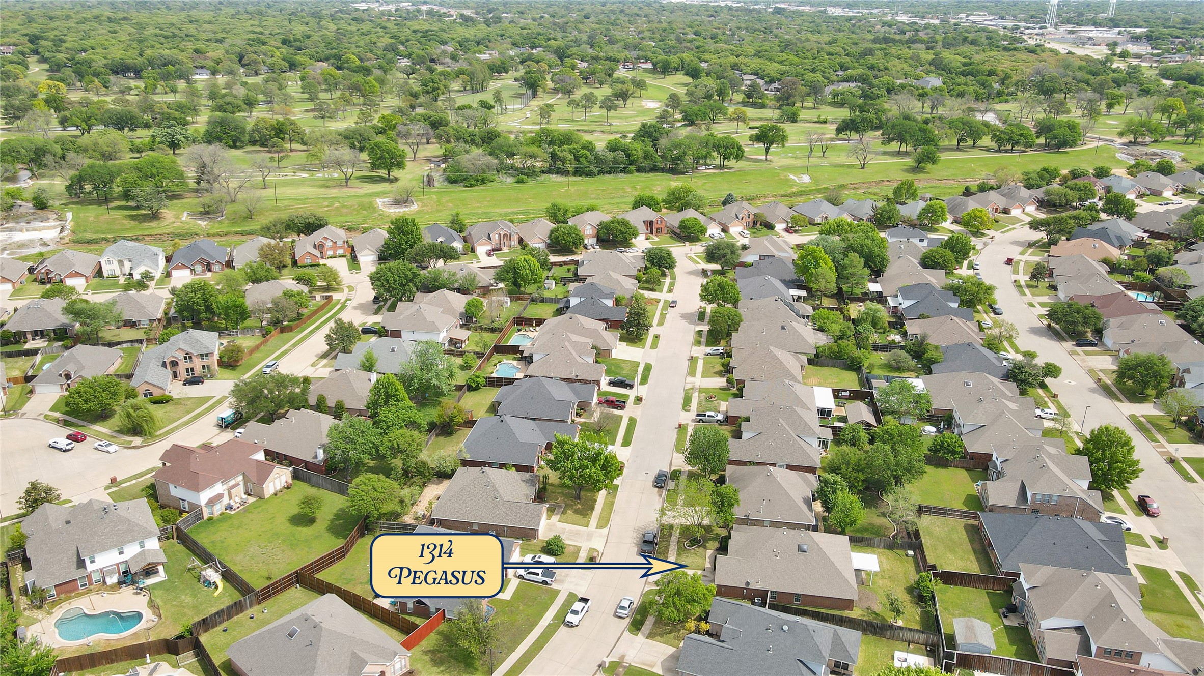 1314 Pegasus Drive
