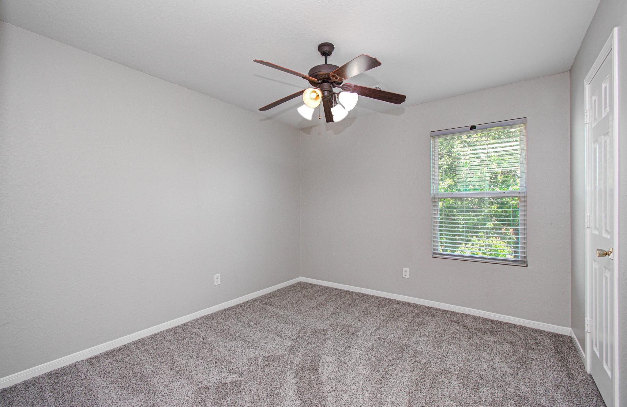 19518 Cypriate Trail