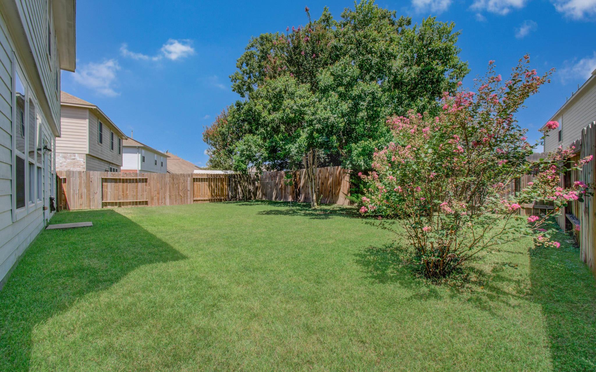 19518 Cypriate Trail