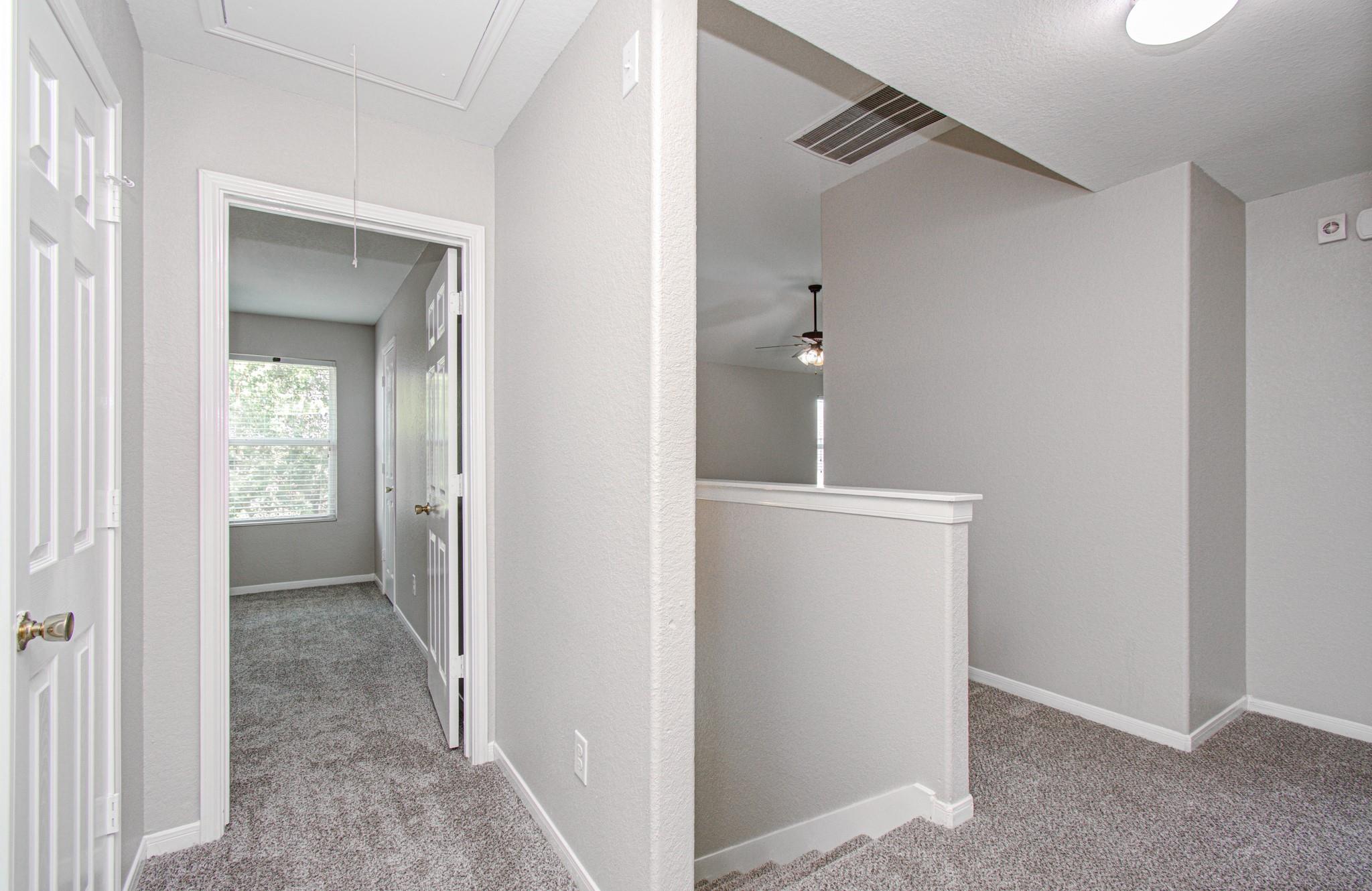 19518 Cypriate Trail