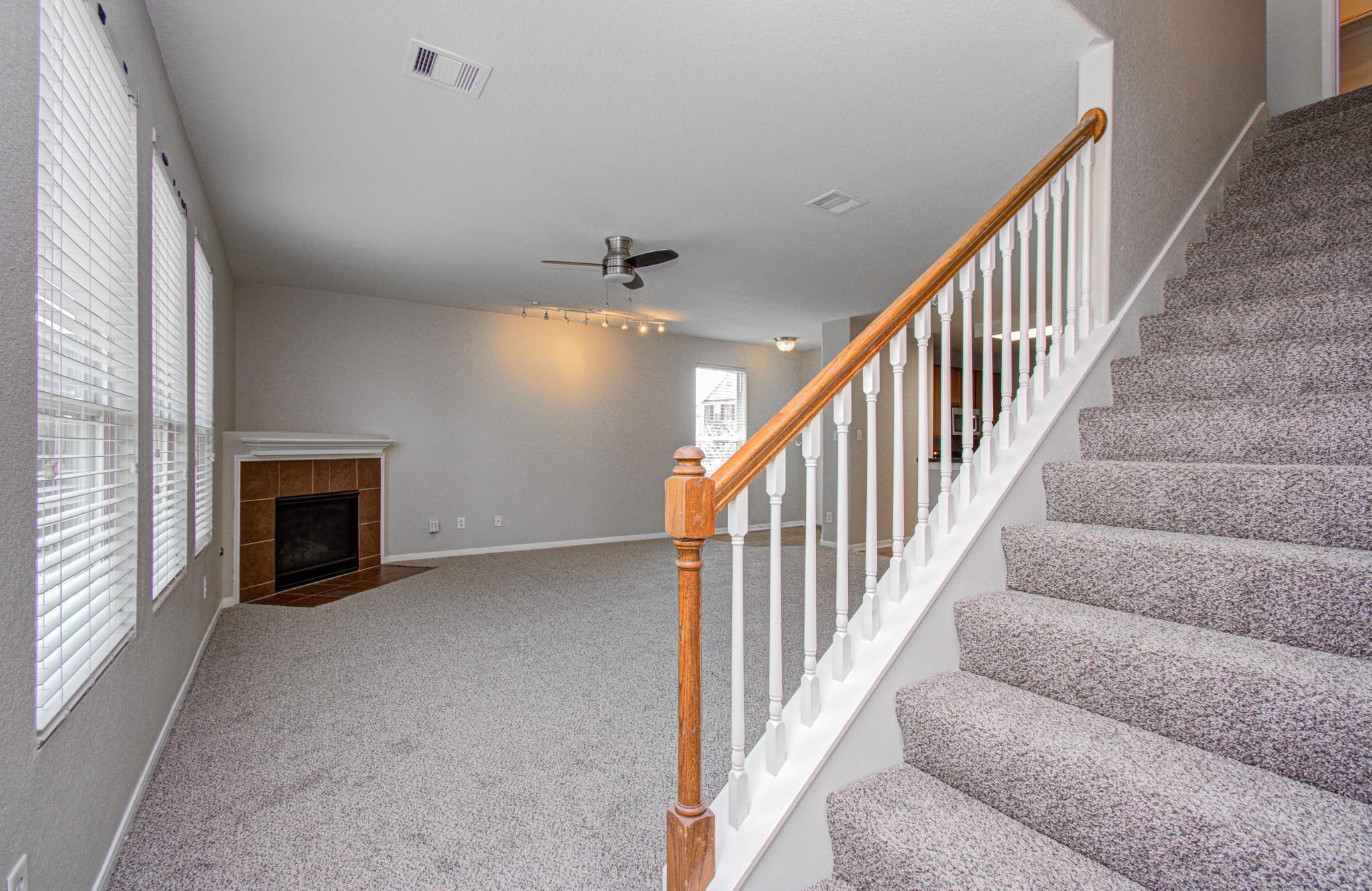 19518 Cypriate Trail