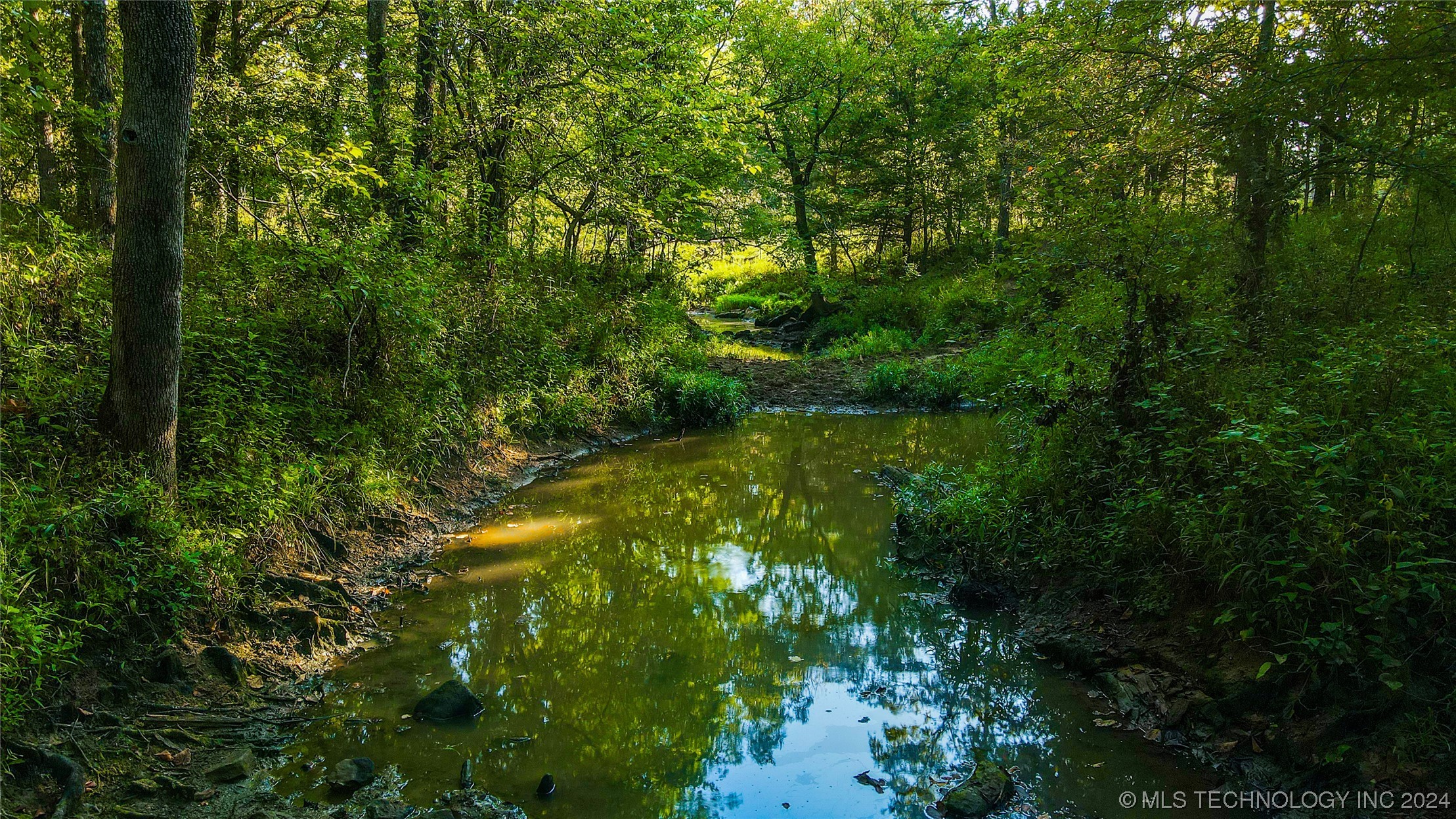 16850 County Road 3635