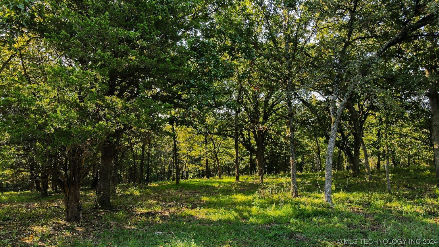 16850 County Road 3635