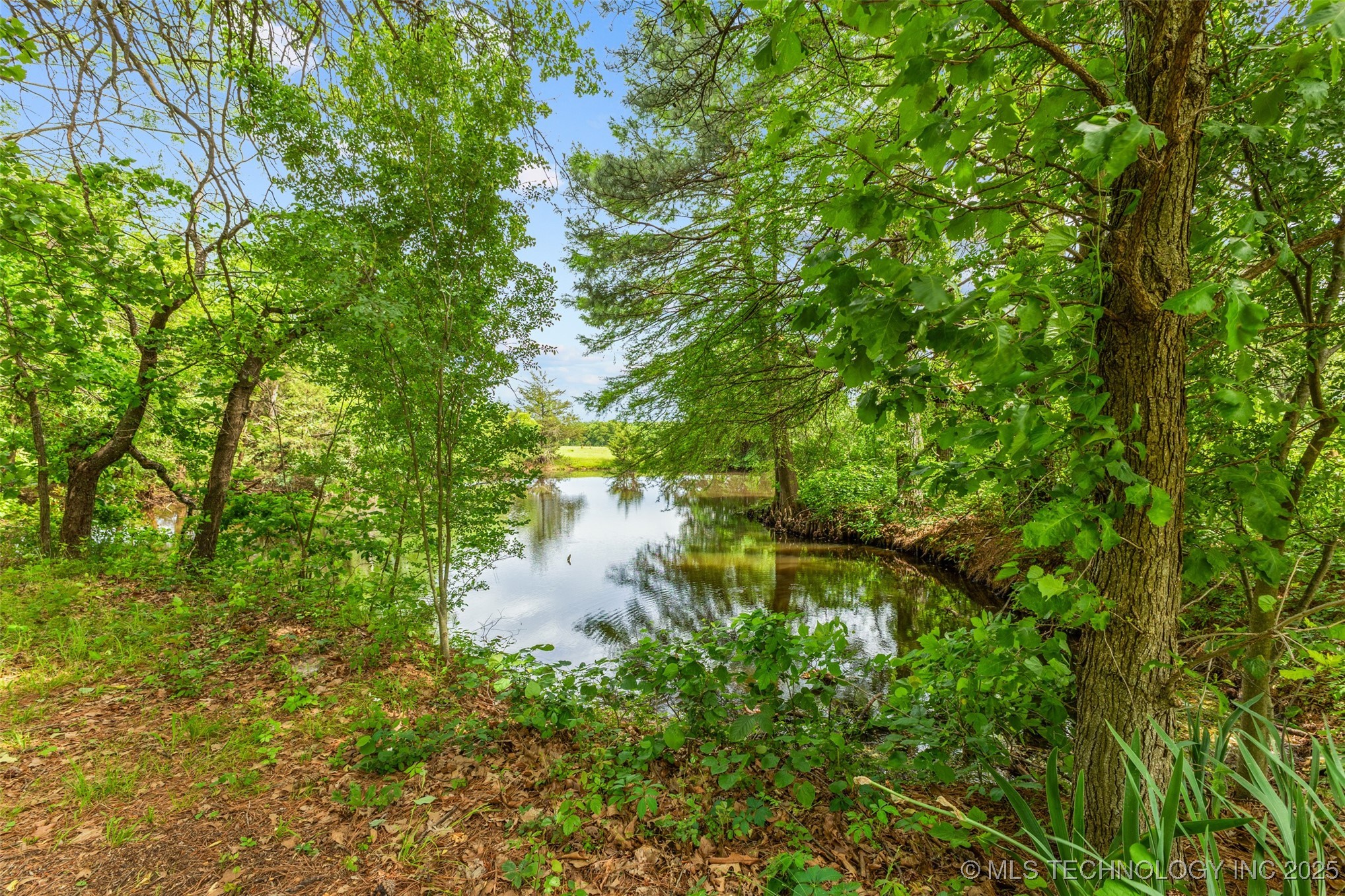 11234 County Road 3577