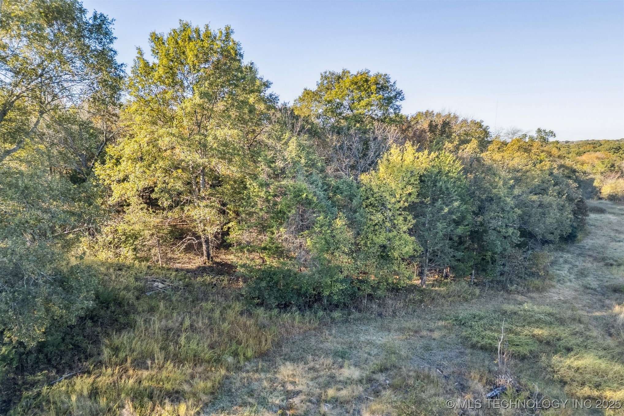 0000 County Road 3510