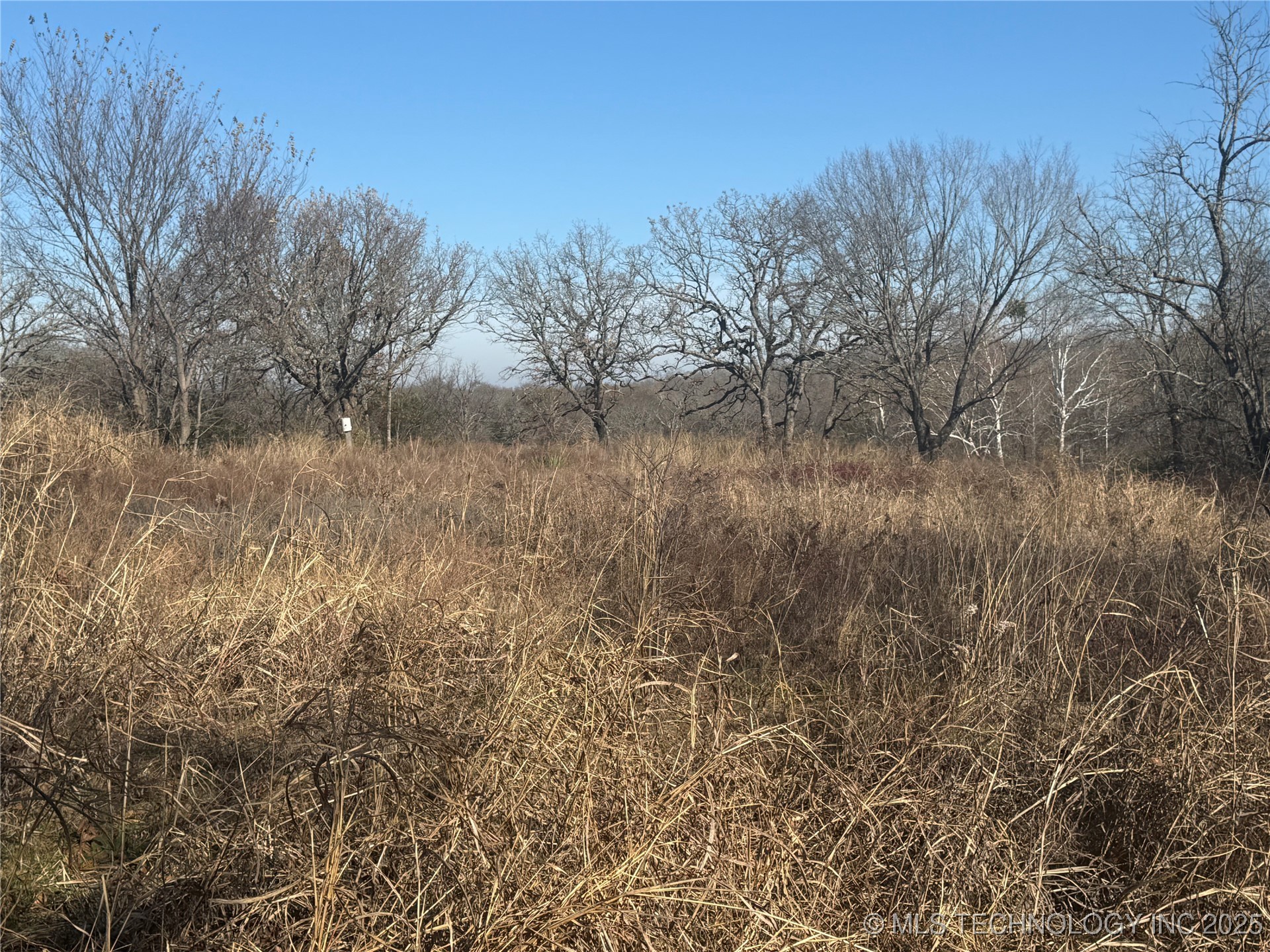 21032 County Road 1543