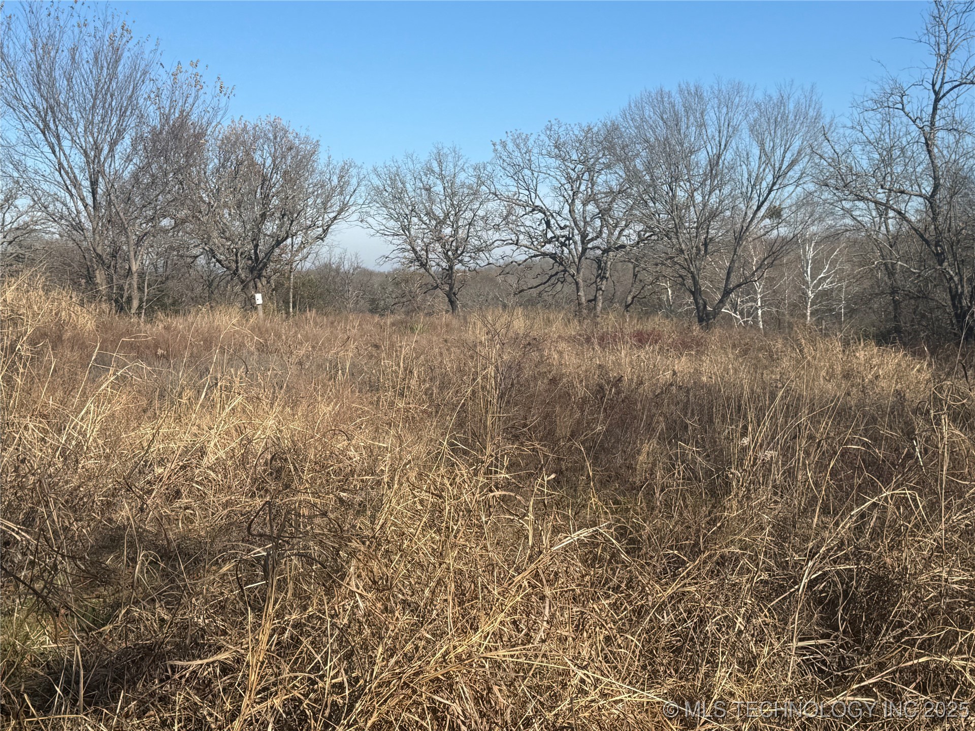 21032 County Road 1543