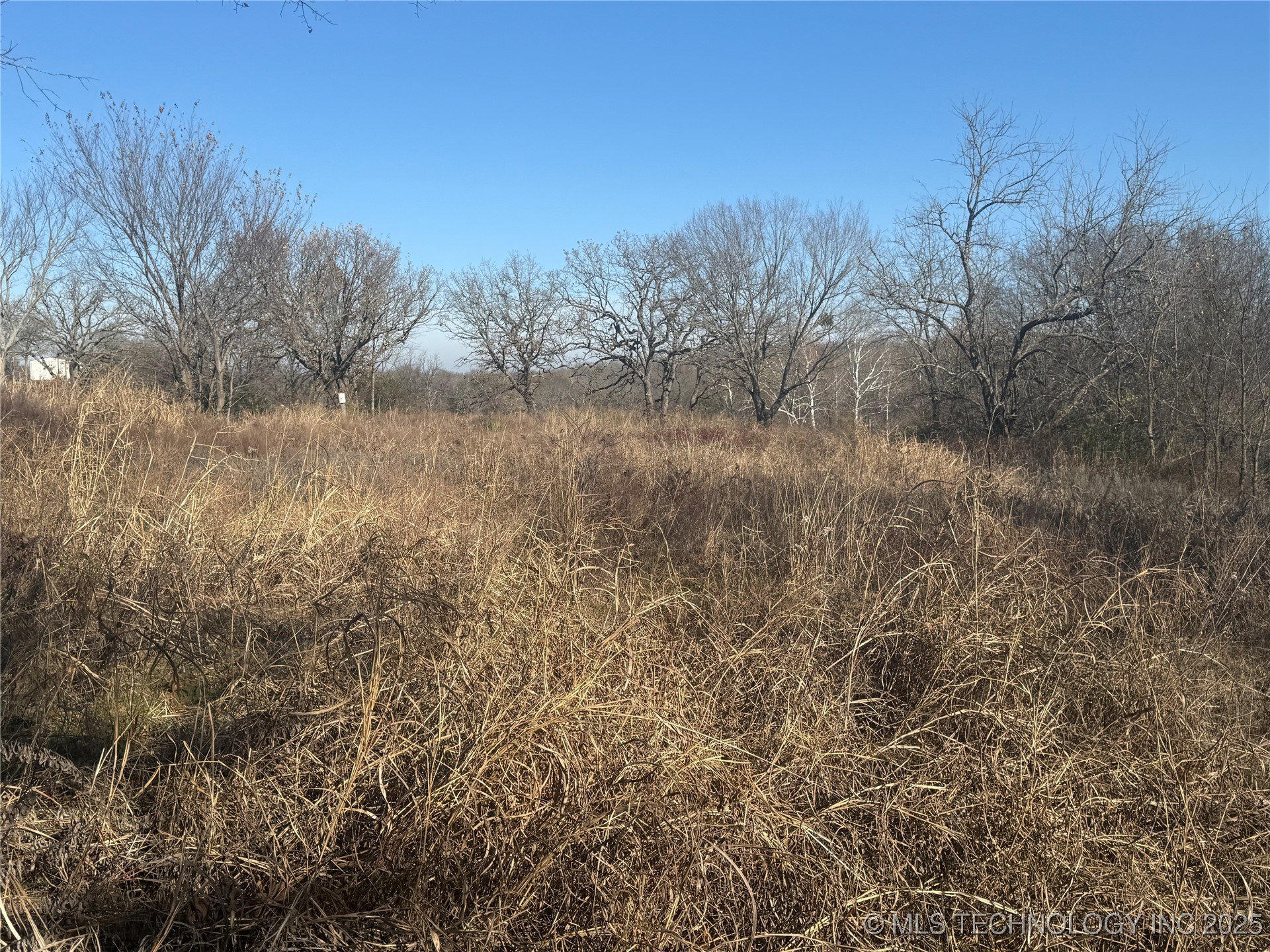 21032 County Road 1543