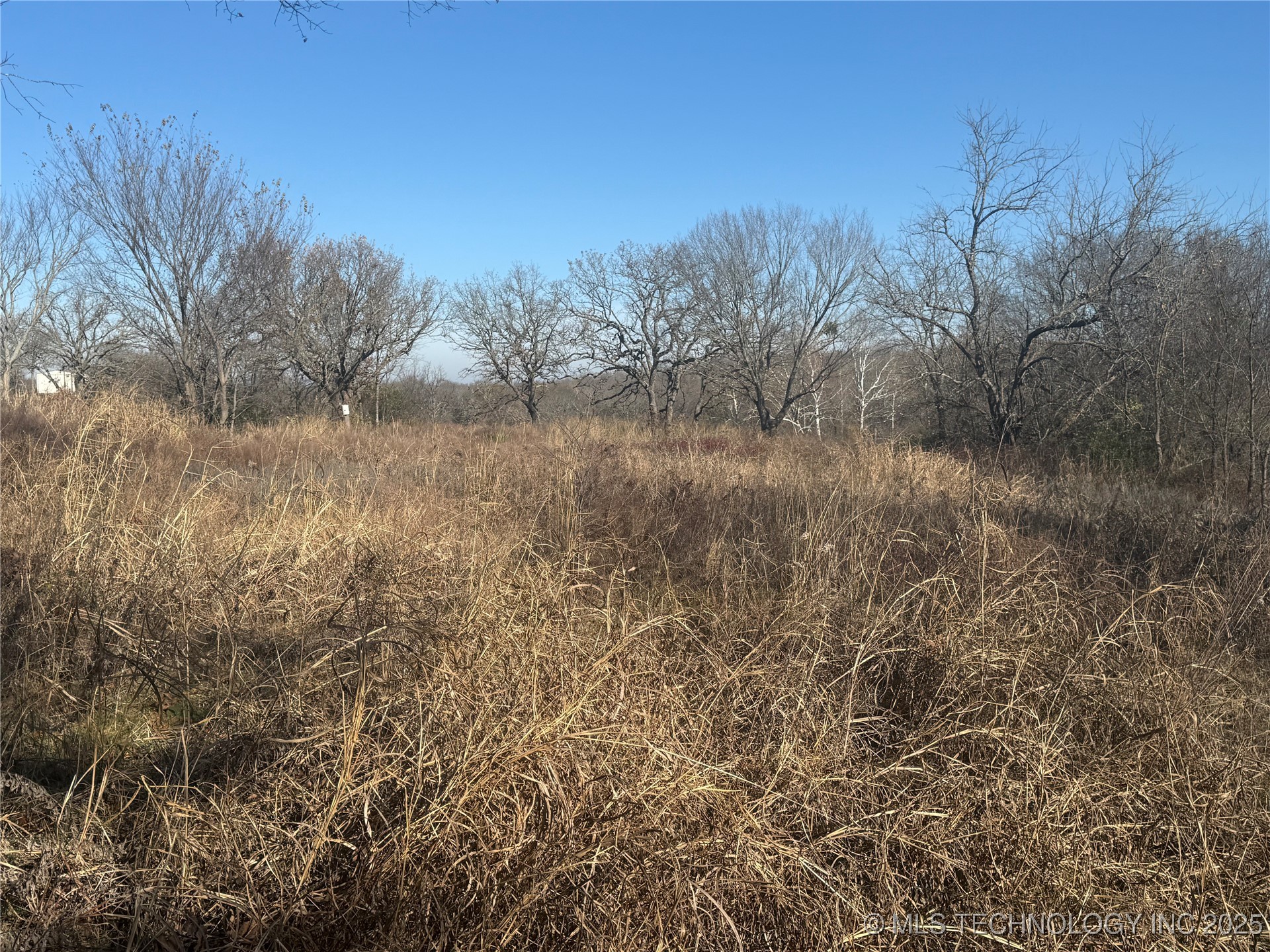 21032 County Road 1543