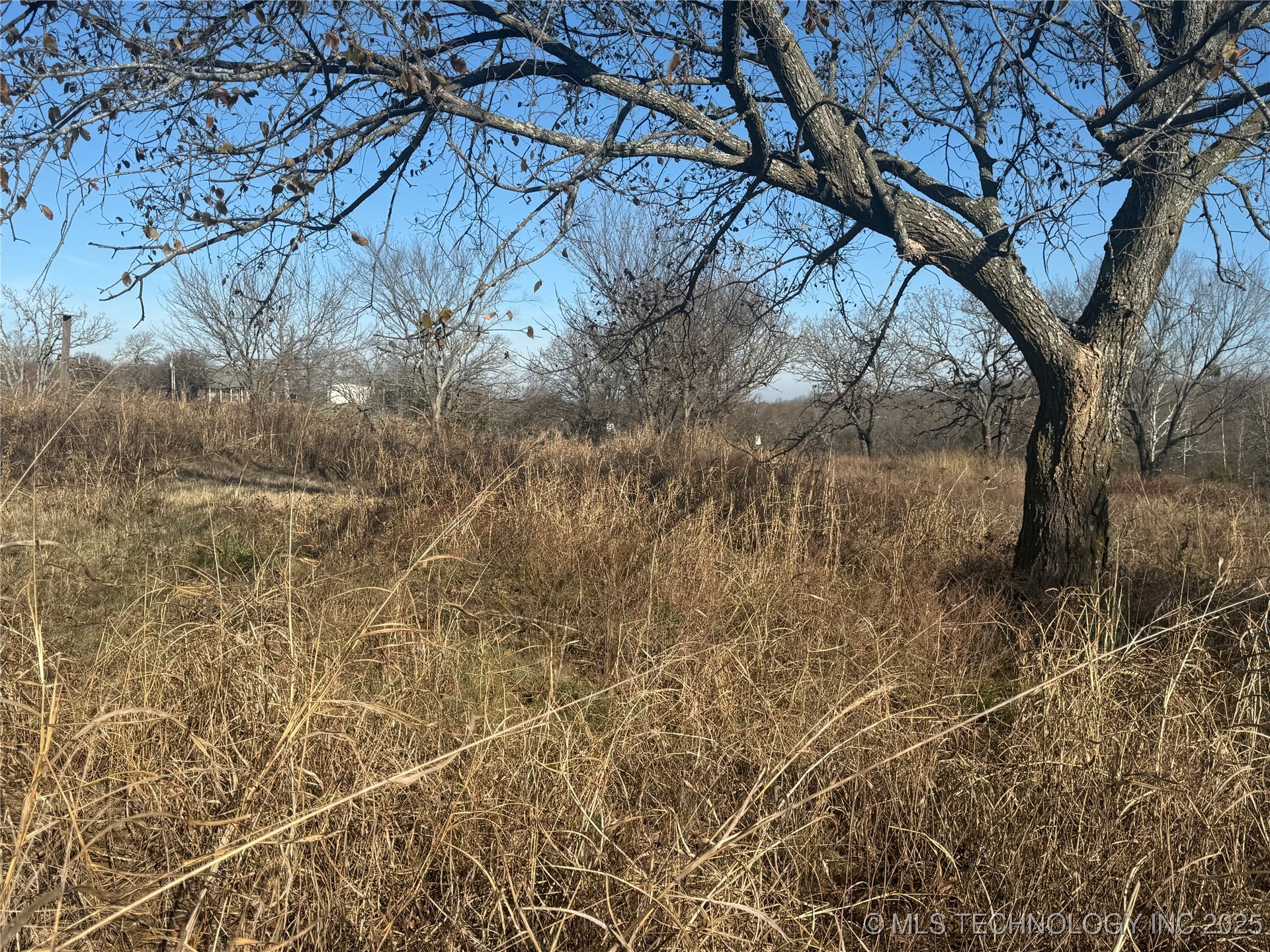 21032 County Road 1543