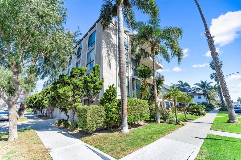1803 E Ocean Boulevard 302