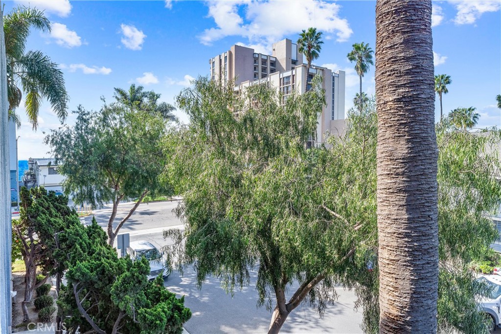 1803 E Ocean Boulevard 302