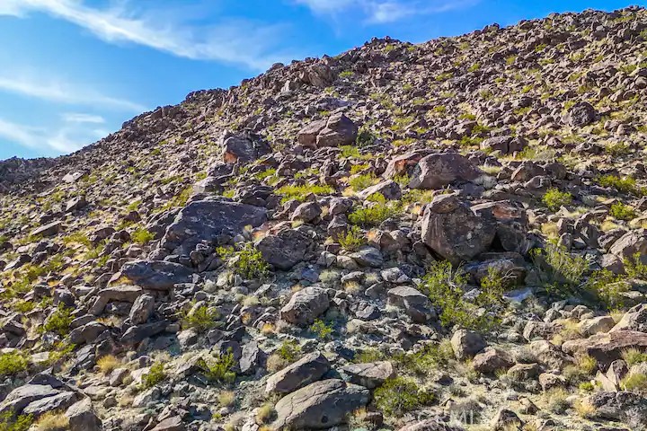 61426 Calle Del Rio
