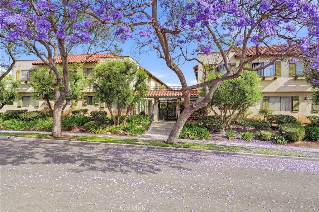 800 Termino Avenue 5