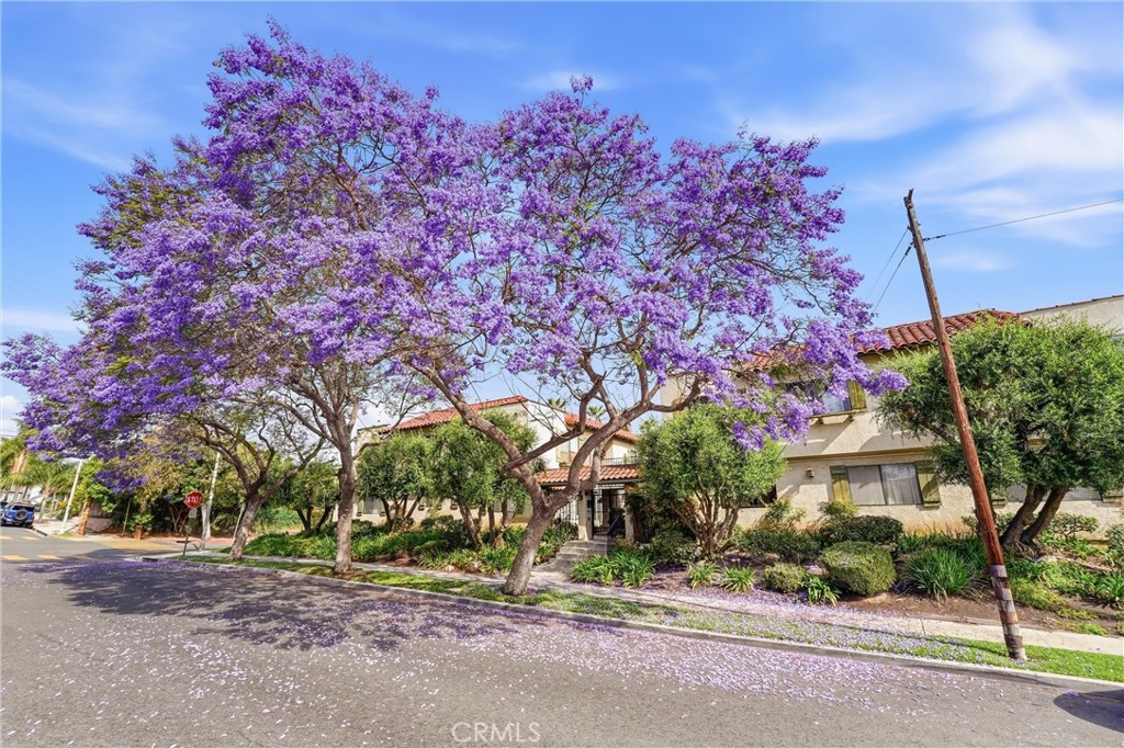 800 Termino Avenue 5