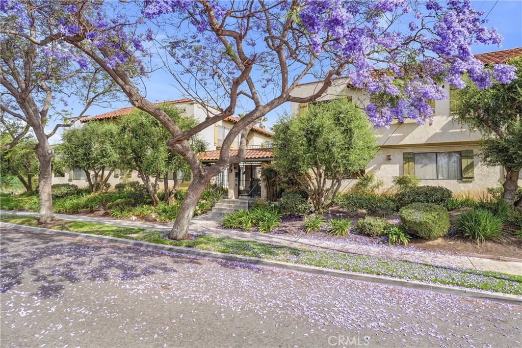 800 Termino Avenue 5