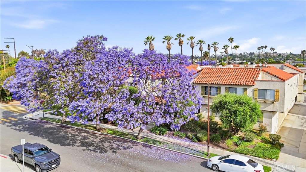 800 Termino Avenue 5