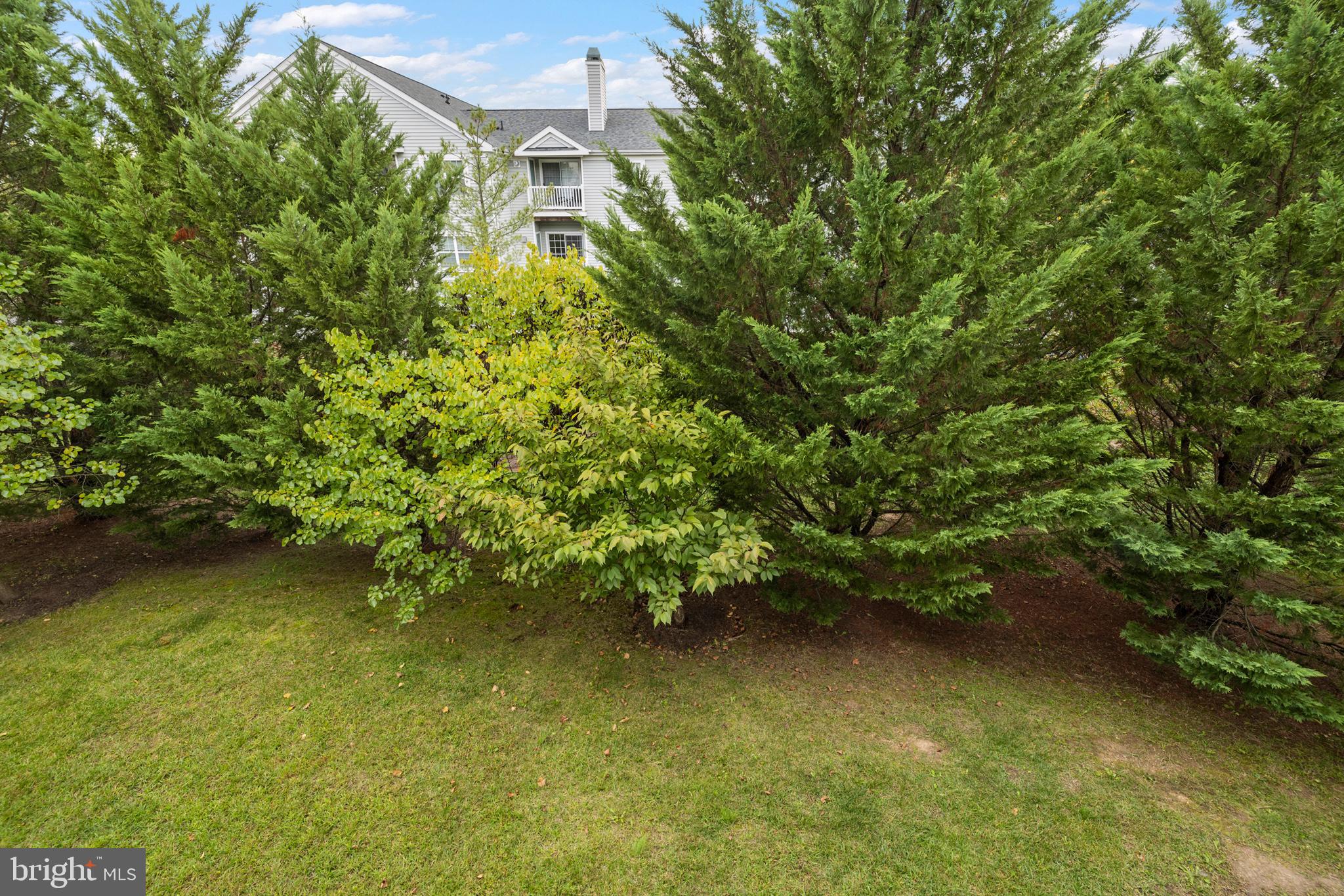 2509 Amber Orchard Ct W #203