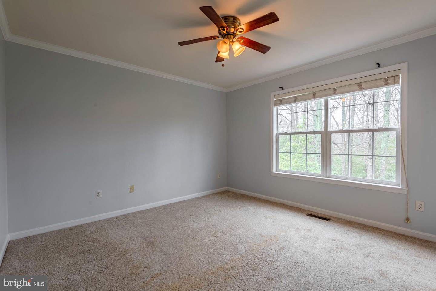 226 Wintergull Ln