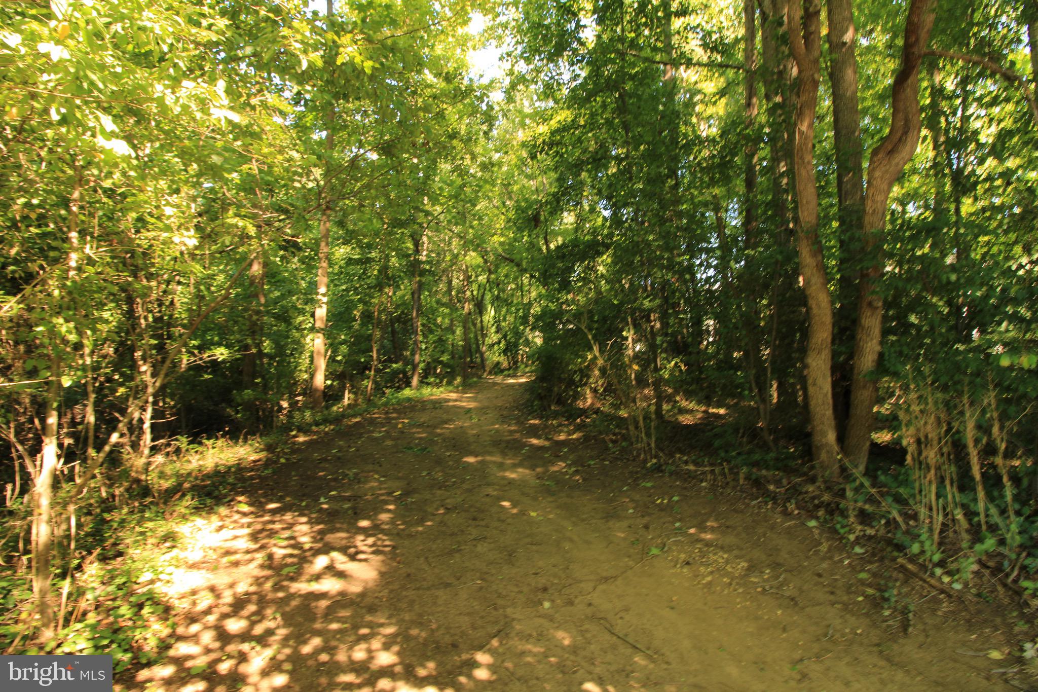 301 Saddle Ridge Rd