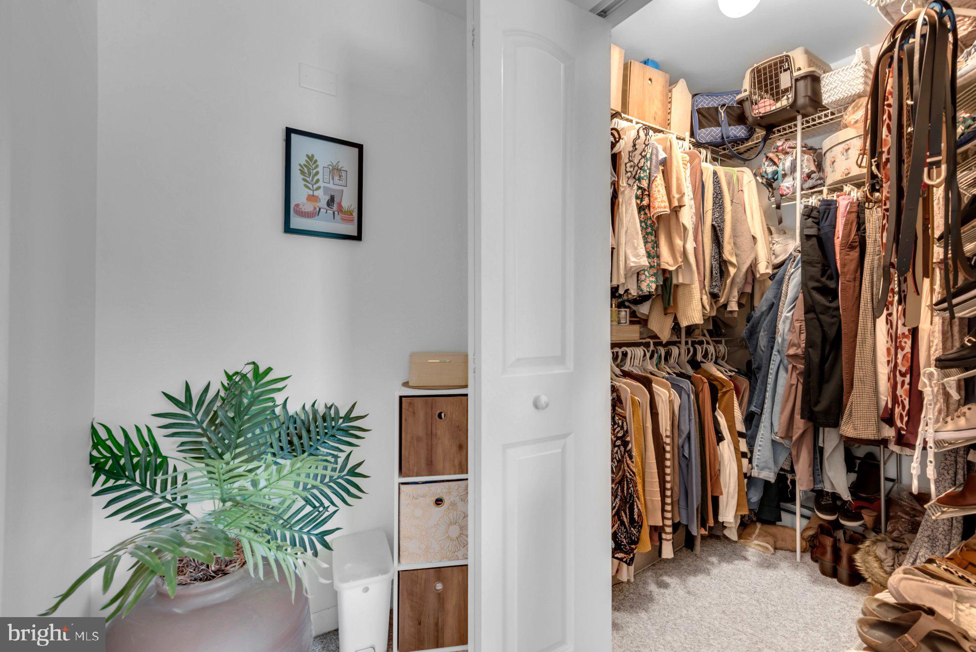 20 Silverwood Cir #11