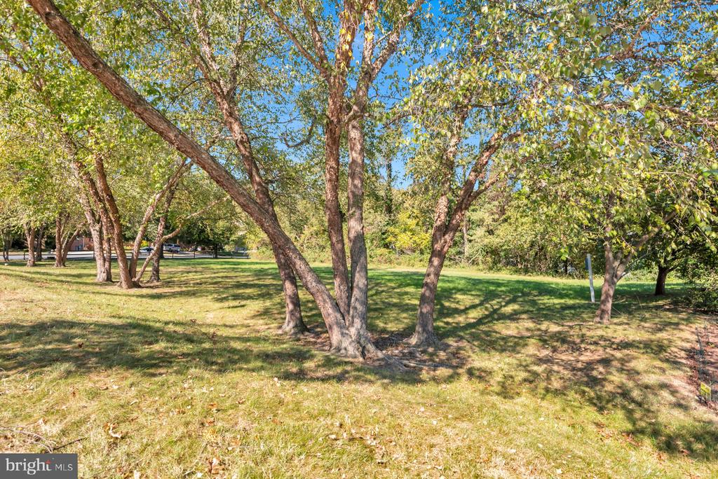 20 Silverwood Cir #11