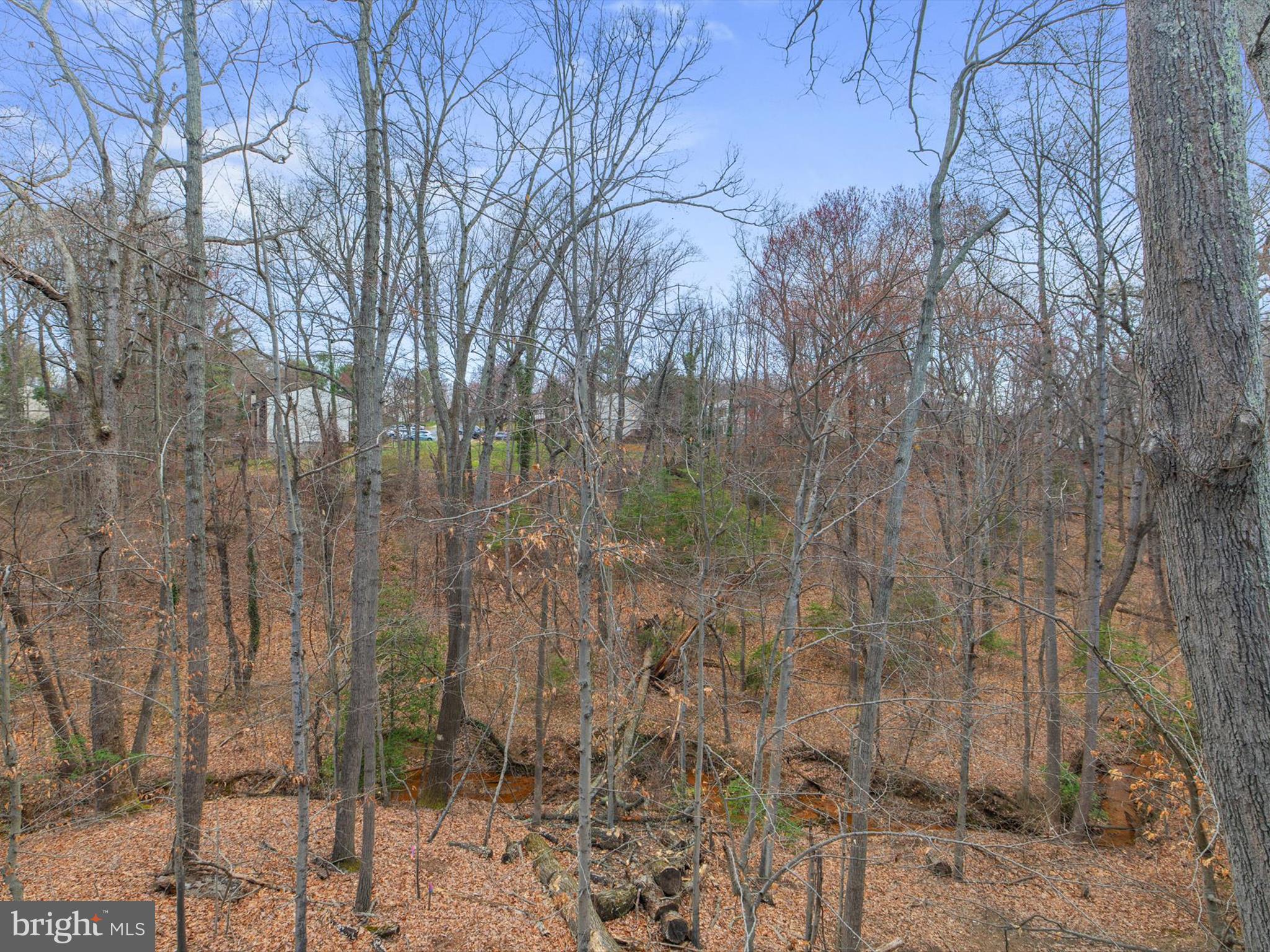 503 MacMillan Ct