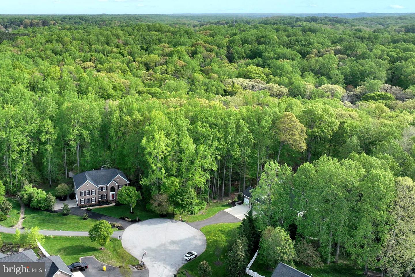 1604 Rabbit Foot Clover Ct